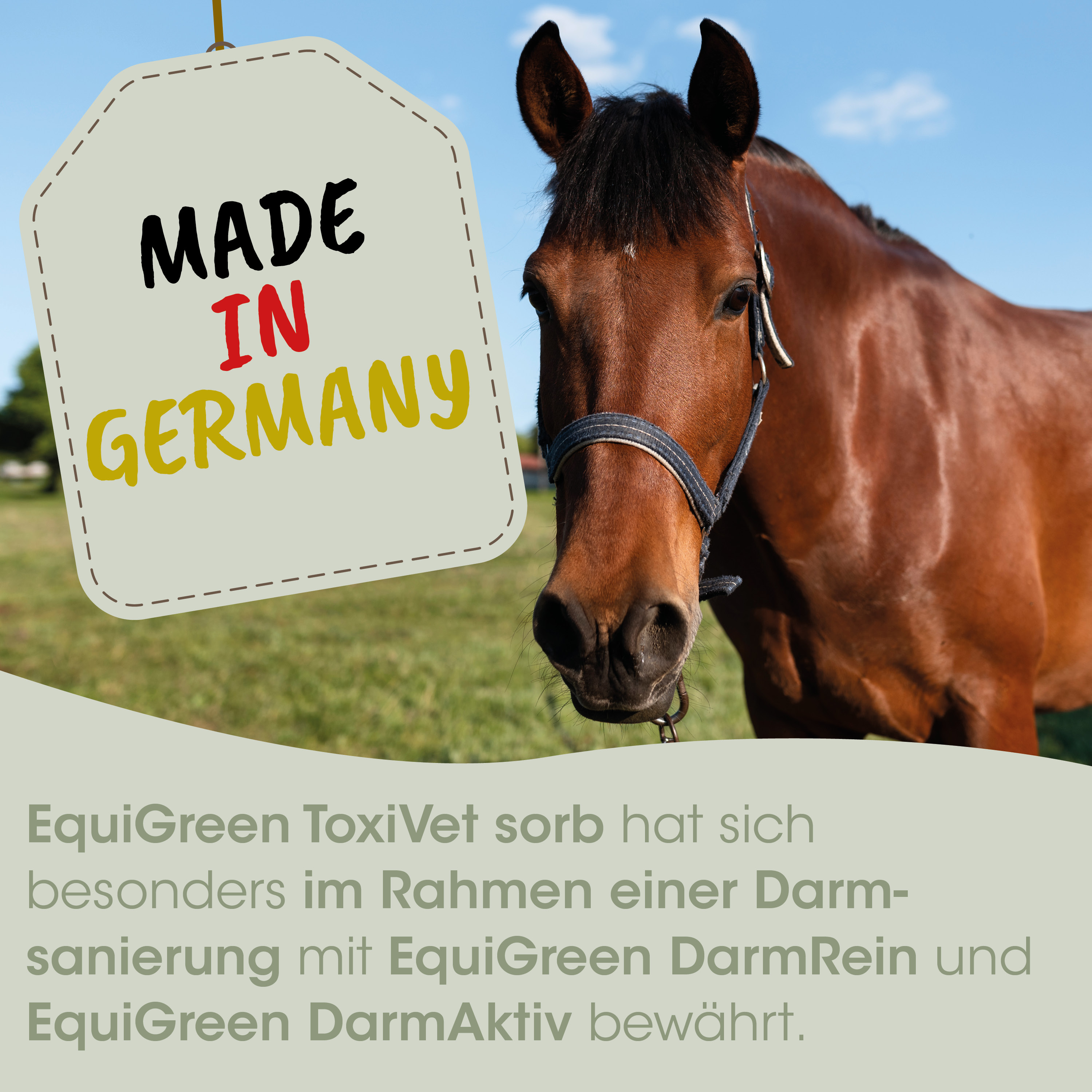 horse, brindle? actually brown horse, halter, tag, made in germany not part of product