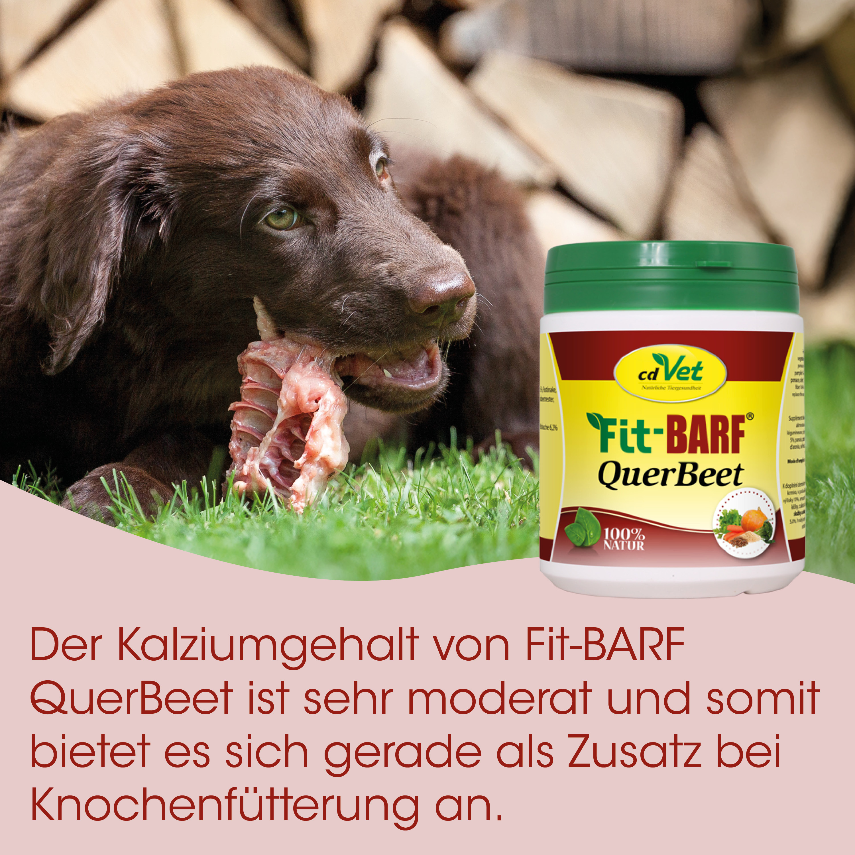 Hundefutter, Kalziumhalt, Knochenfutter, QuerBeet, Naturprodukt