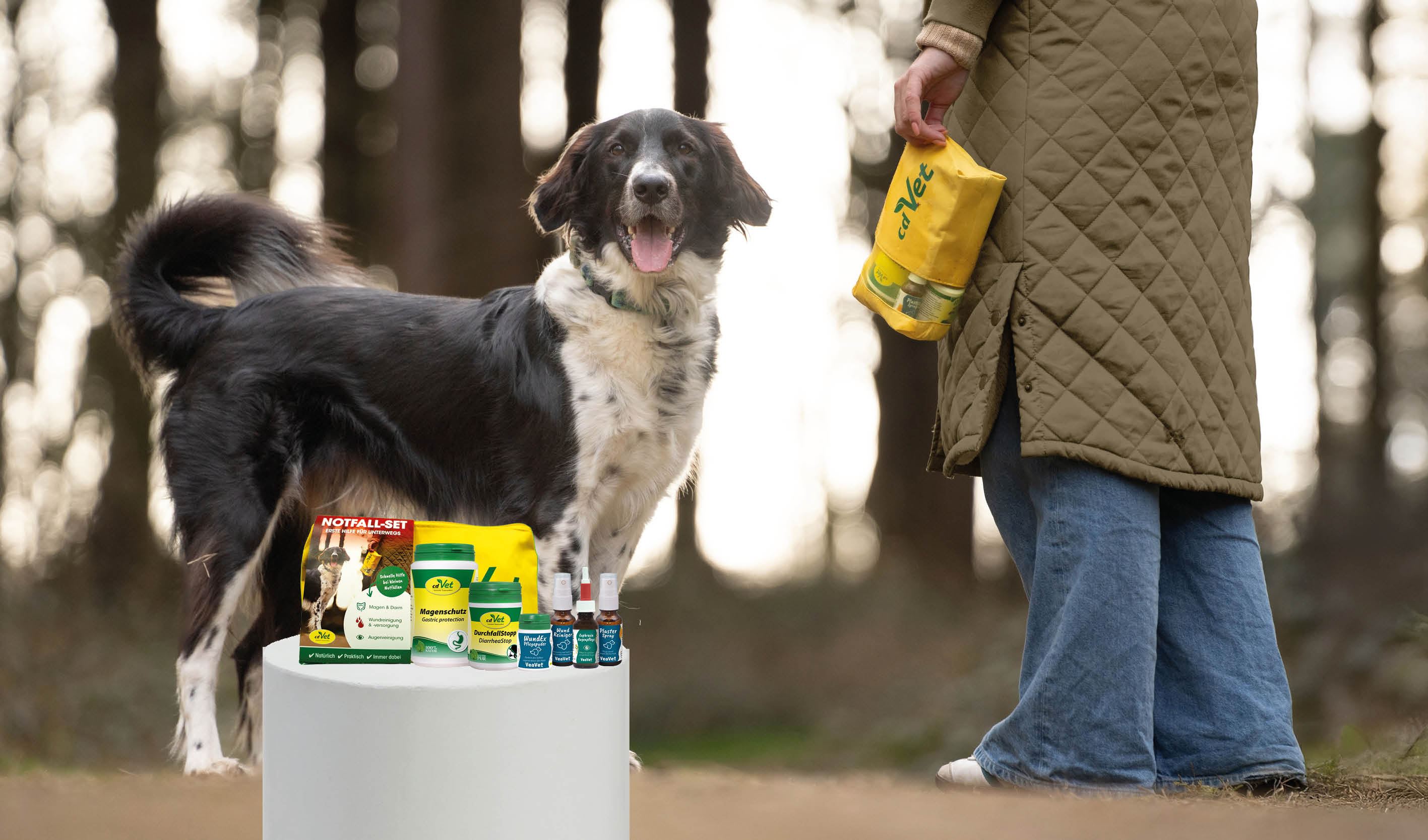Hundepflege, Tierarztbedarf, Pfotenpflege, Pet Care Set, Medizinische Produkte