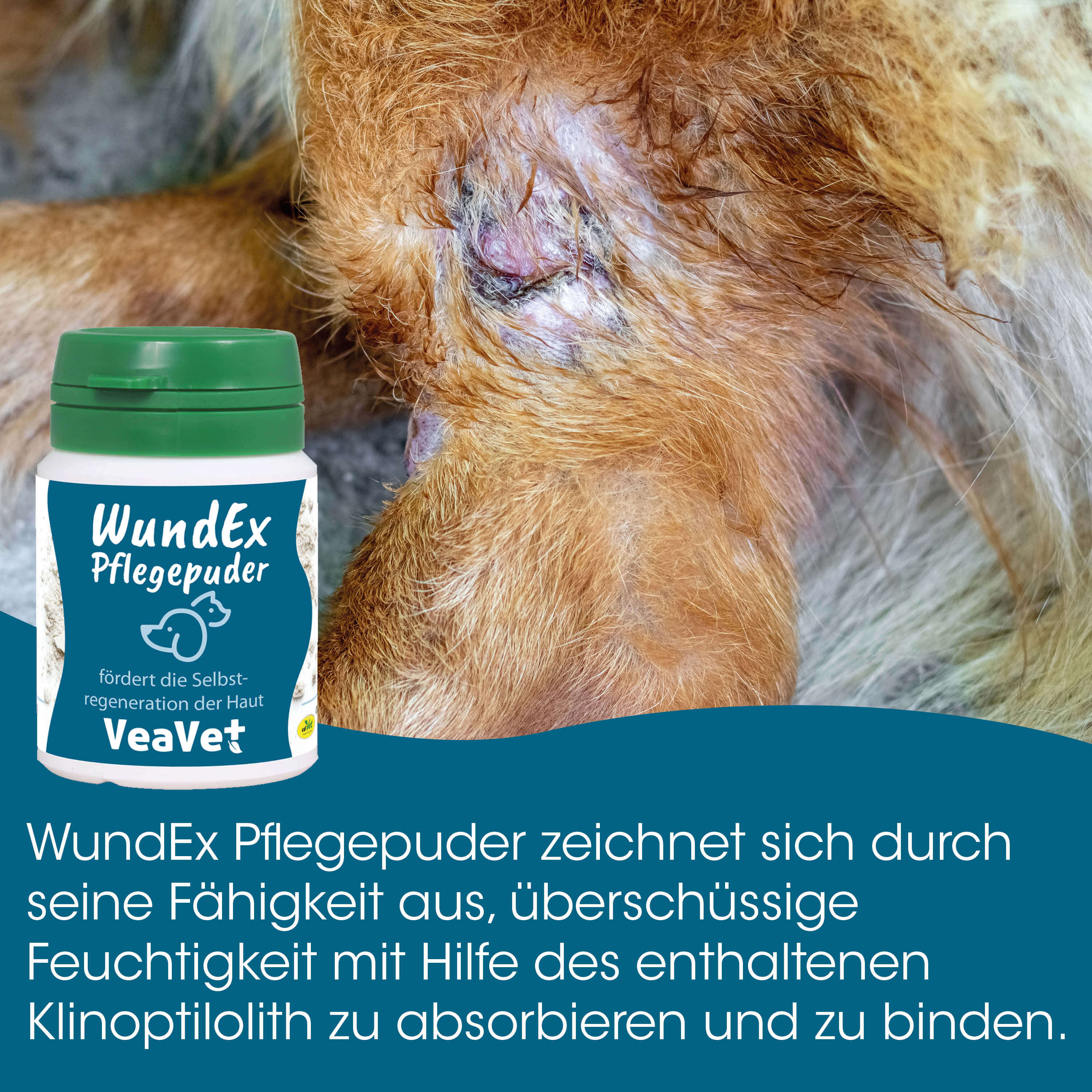 Pflegekapsel, Hautpflege, Tierpflege, Wunde, Vetmedisch