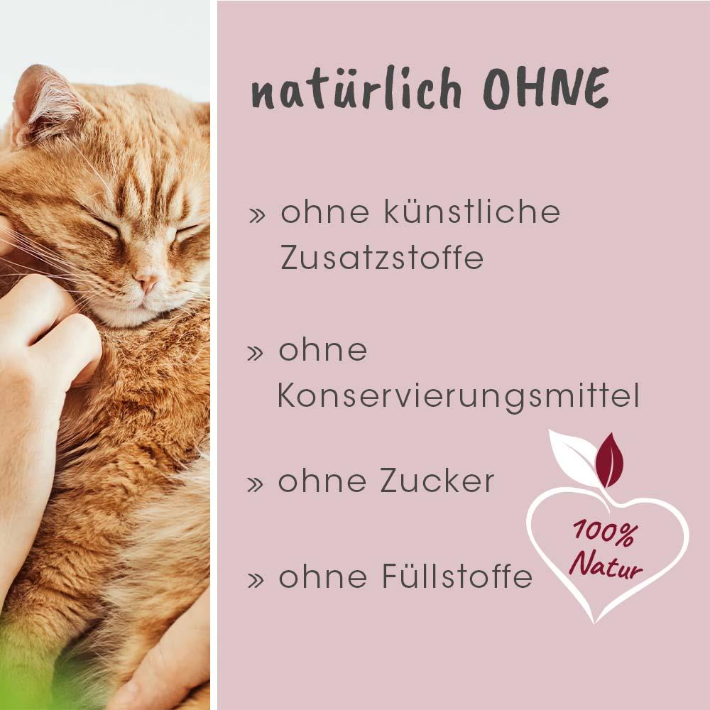 Briefumschlag, Grußkarte, Post, Katze, Haustier