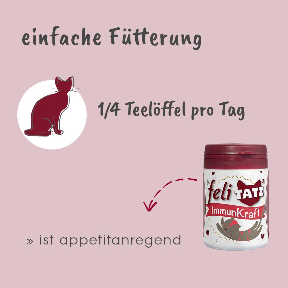 Krug, Tier, Bär, Säugetier, Tierwelt