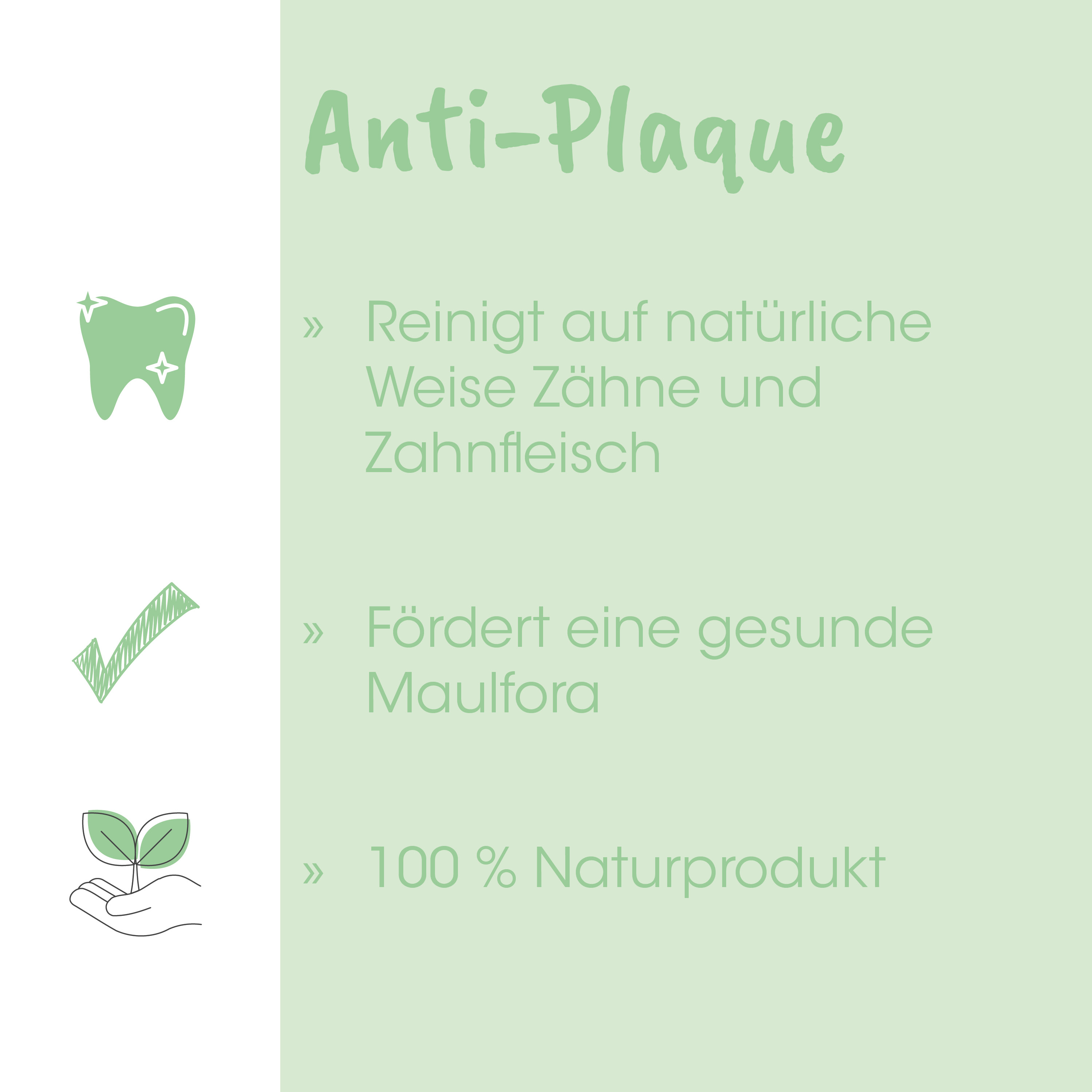 Zähne, Zahnpflege, Naturprodukt, Zahnputz, Zahnbürstenpfleger