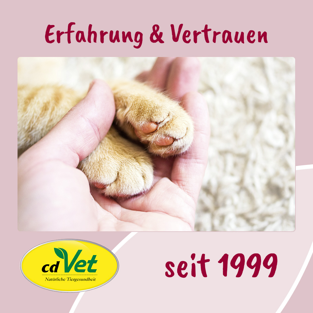 pfote, katze, pfote schnurrhaare, tierpfote, weich