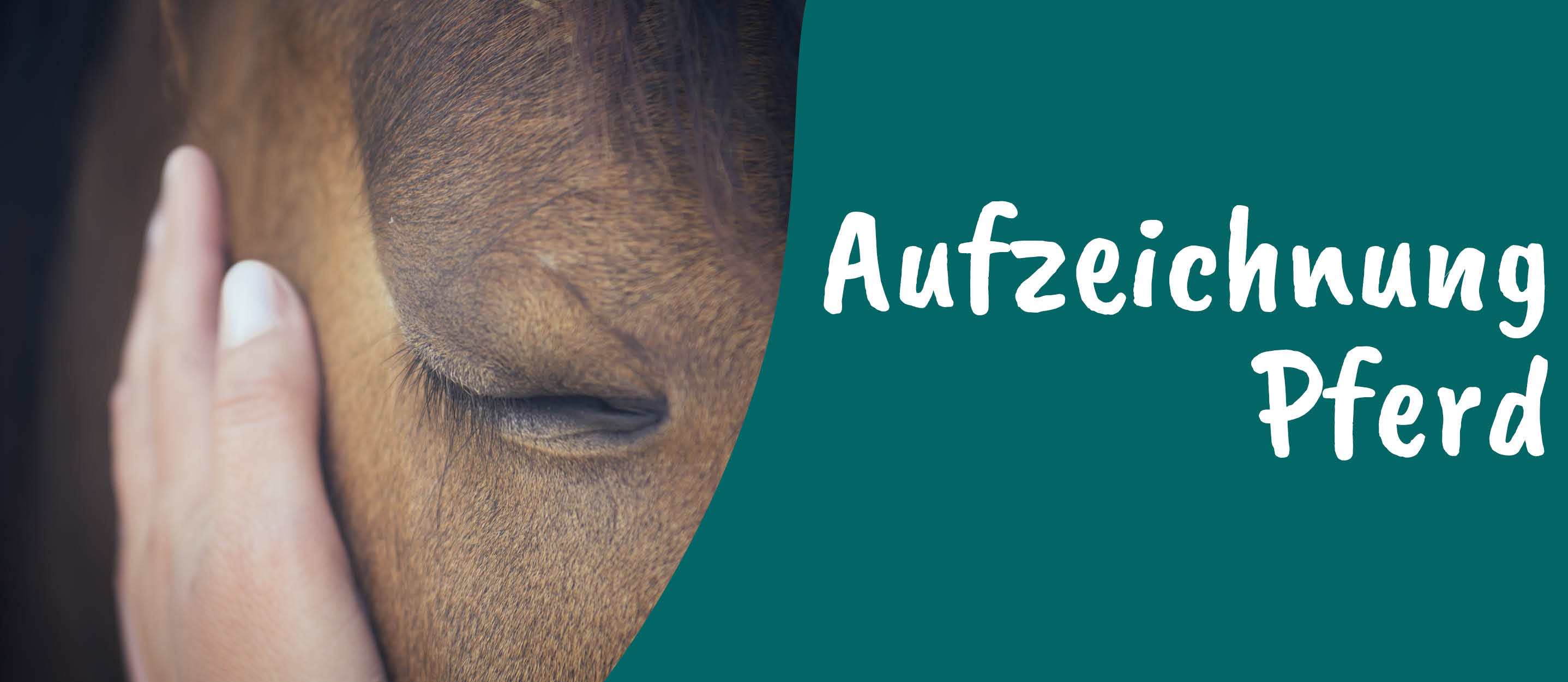 Erwachsener, Weiblich, Person, Frau