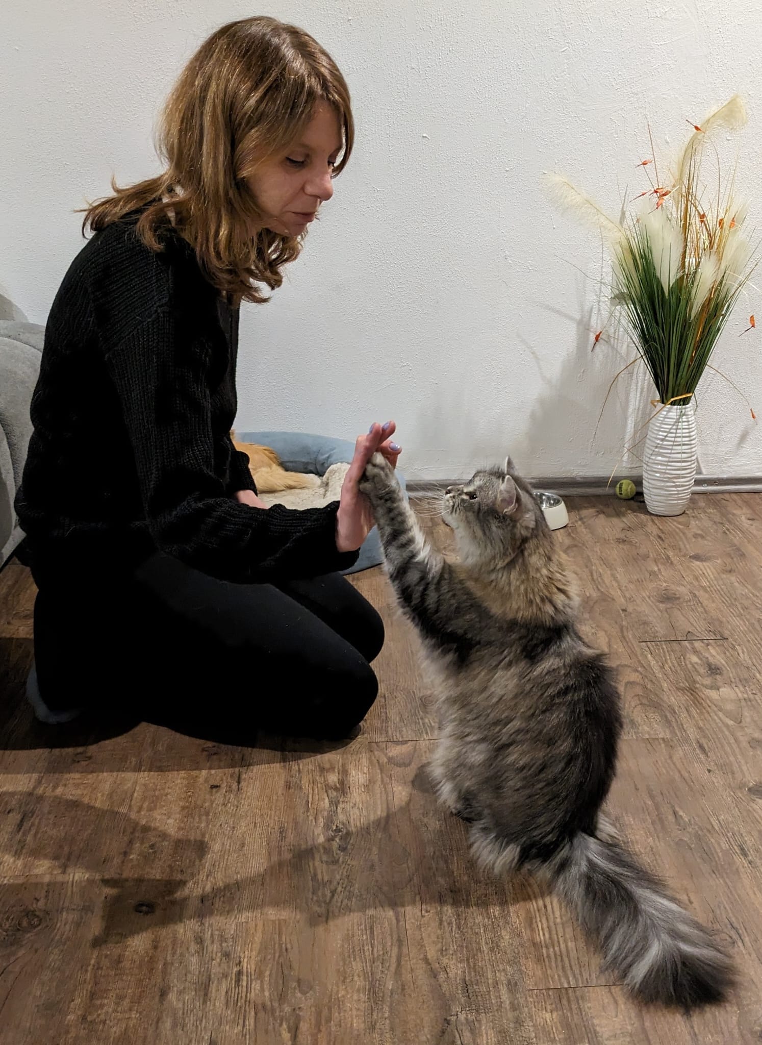 Holz, Hartholz, Topfpflanze, Blumen-Arrangement, Ikebana