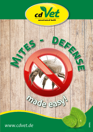 Flyer Englisch Mites, DIN A6