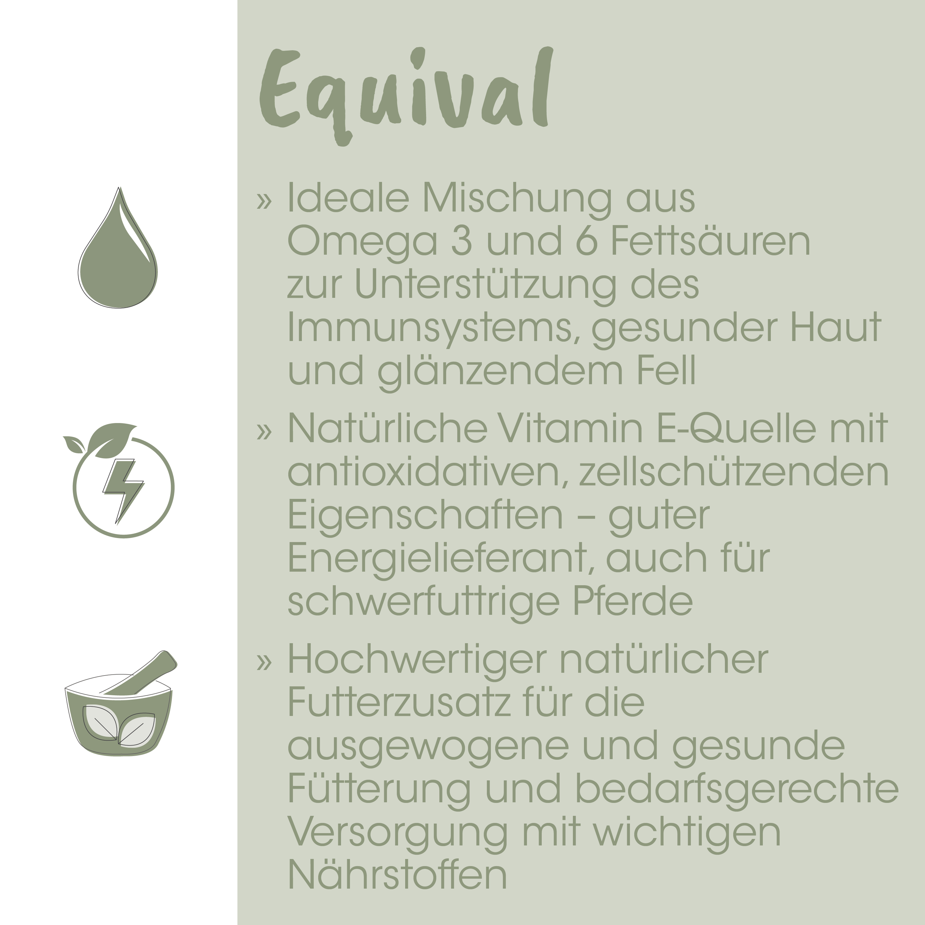öl, flüssigkeit, pflanzenöl, energie, ingredient