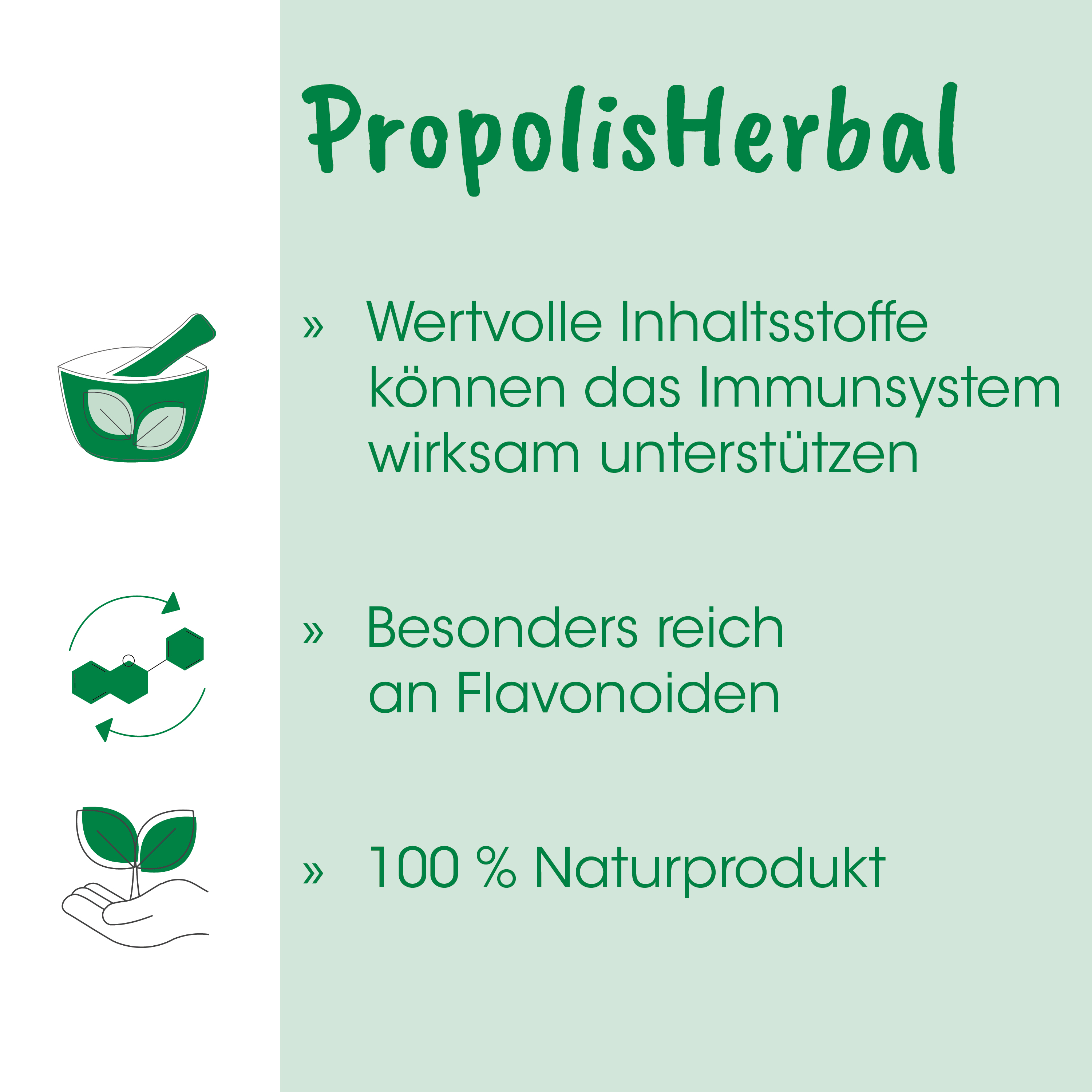 herbal, immune system, natural product, plant, active ingredients