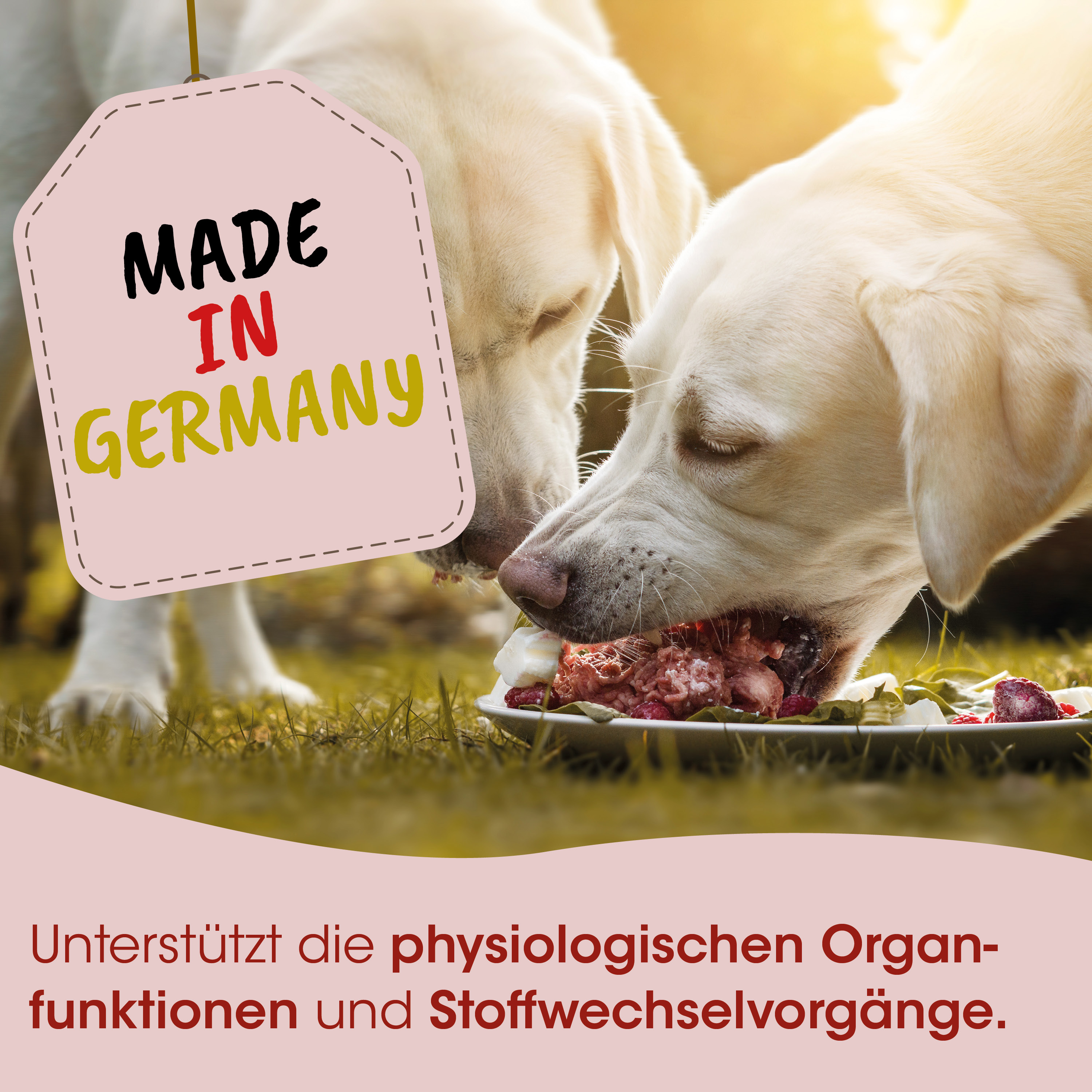 Hunde-Nahrung, Hunde-Futter, Rindfleisch, Fleischplatte, Made in Germany