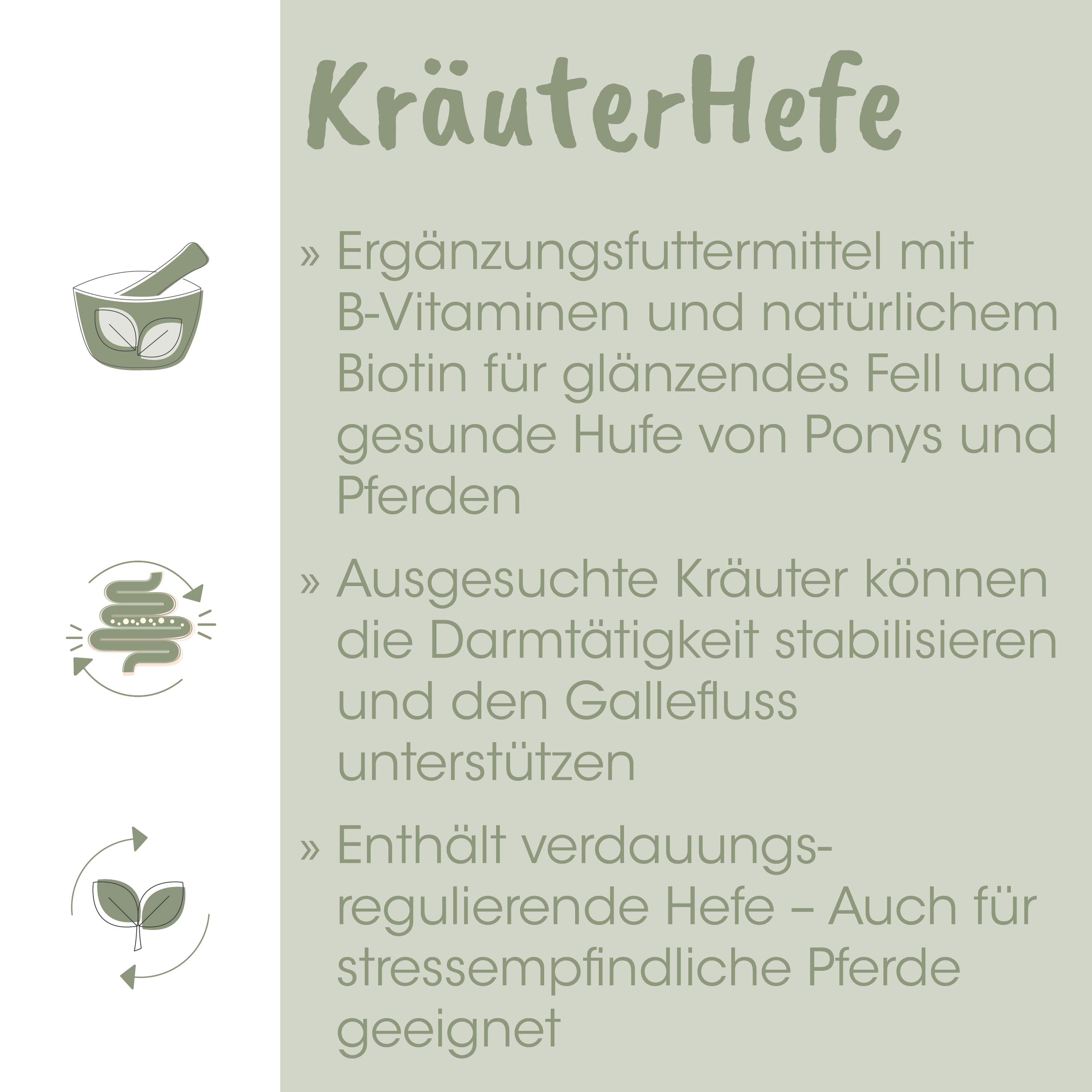 Kräuterhefe, Ergänzungsfuttermittel, B-Vitamine, Biotin, Hufepflege