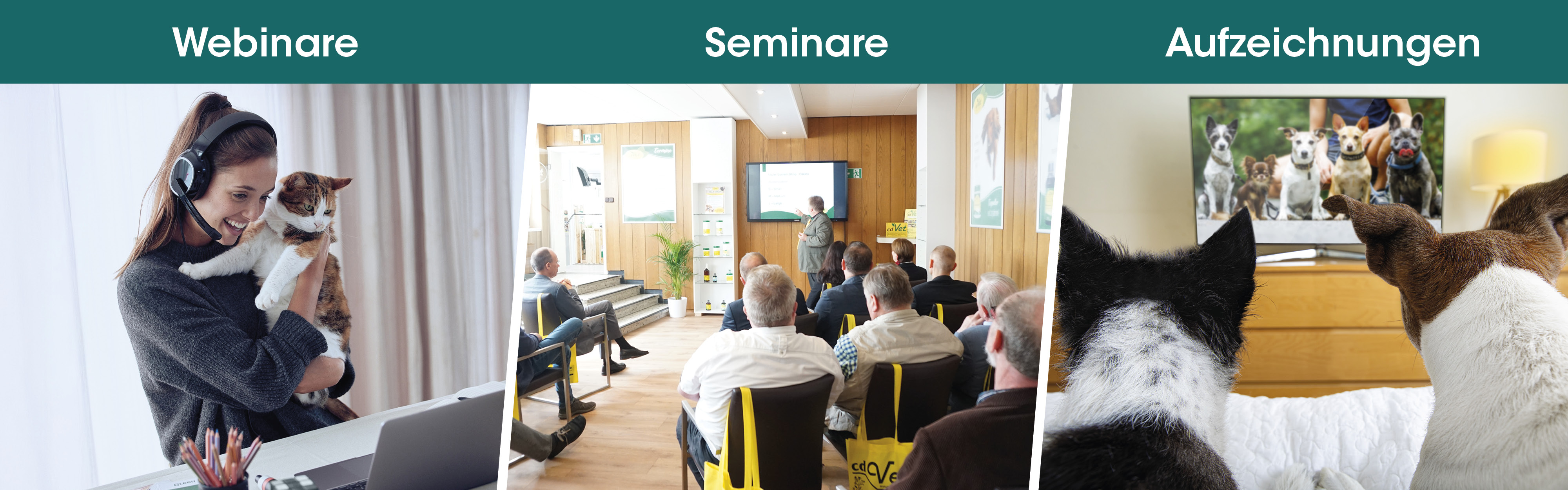 Leute, Person, Innenarchitektur, Erwachsene, Frau