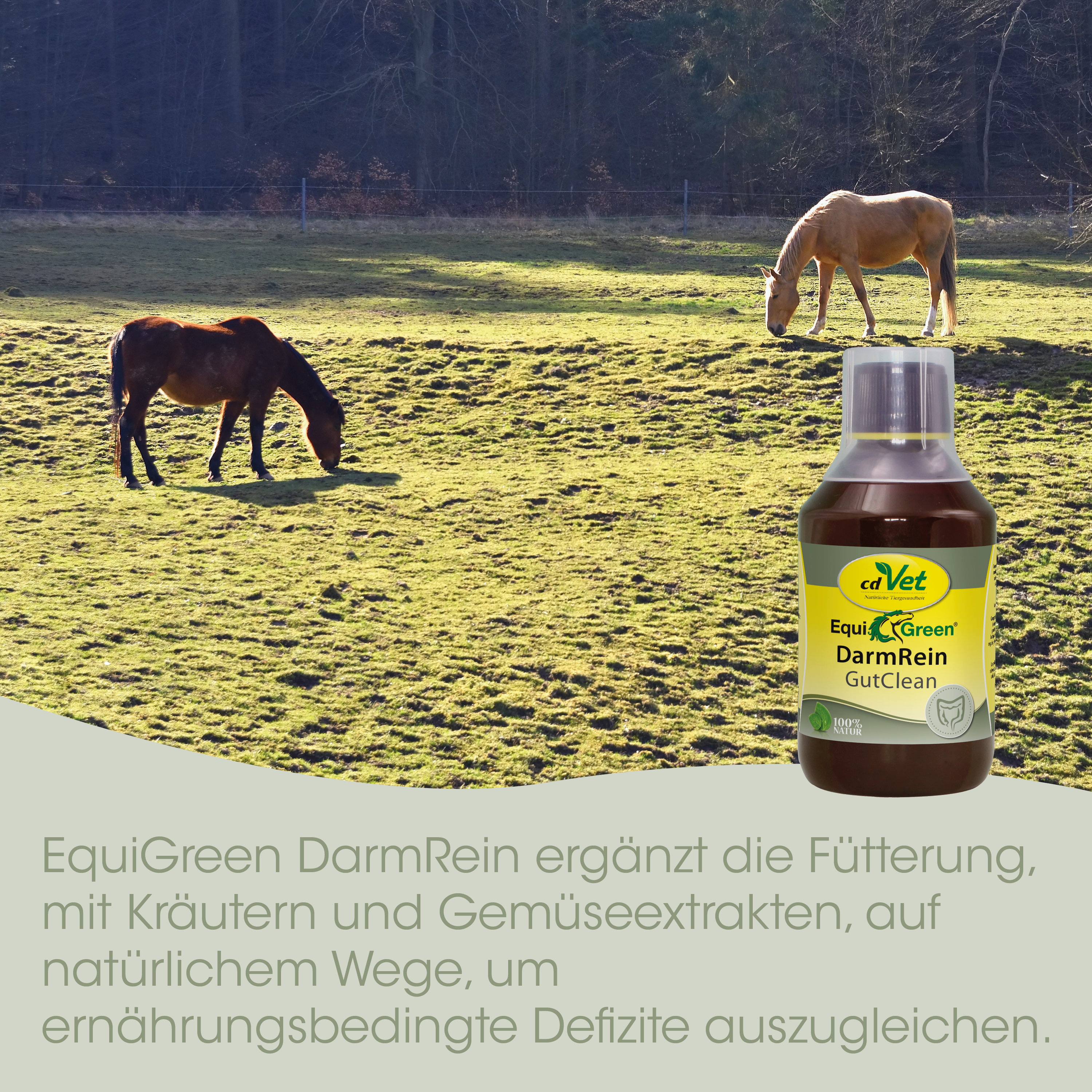 EquiGreen DarmRein 500 ml