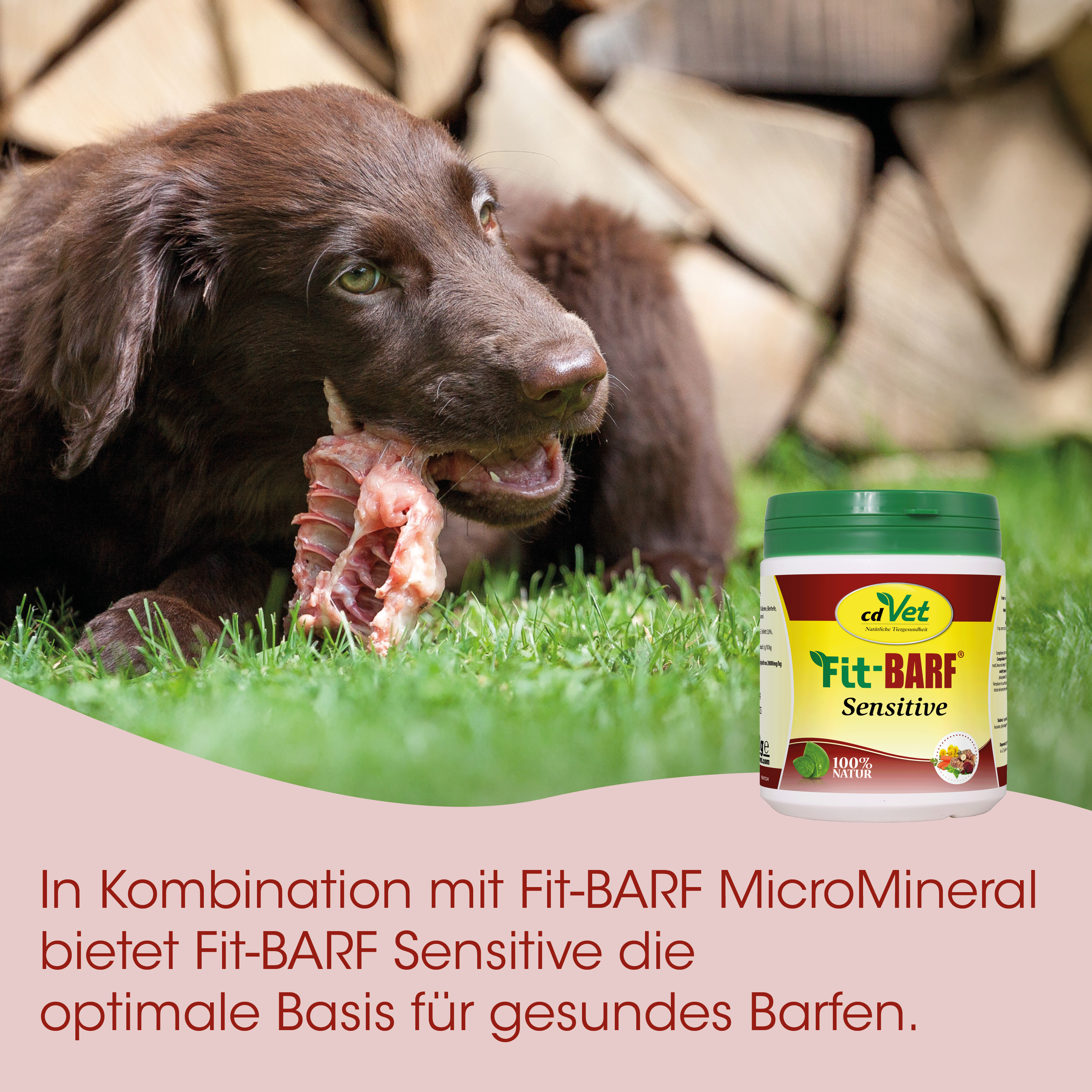 Hund, Knochen, Hunde-Nahrungsmittel, Knochenkauartikel, Behälter/Container