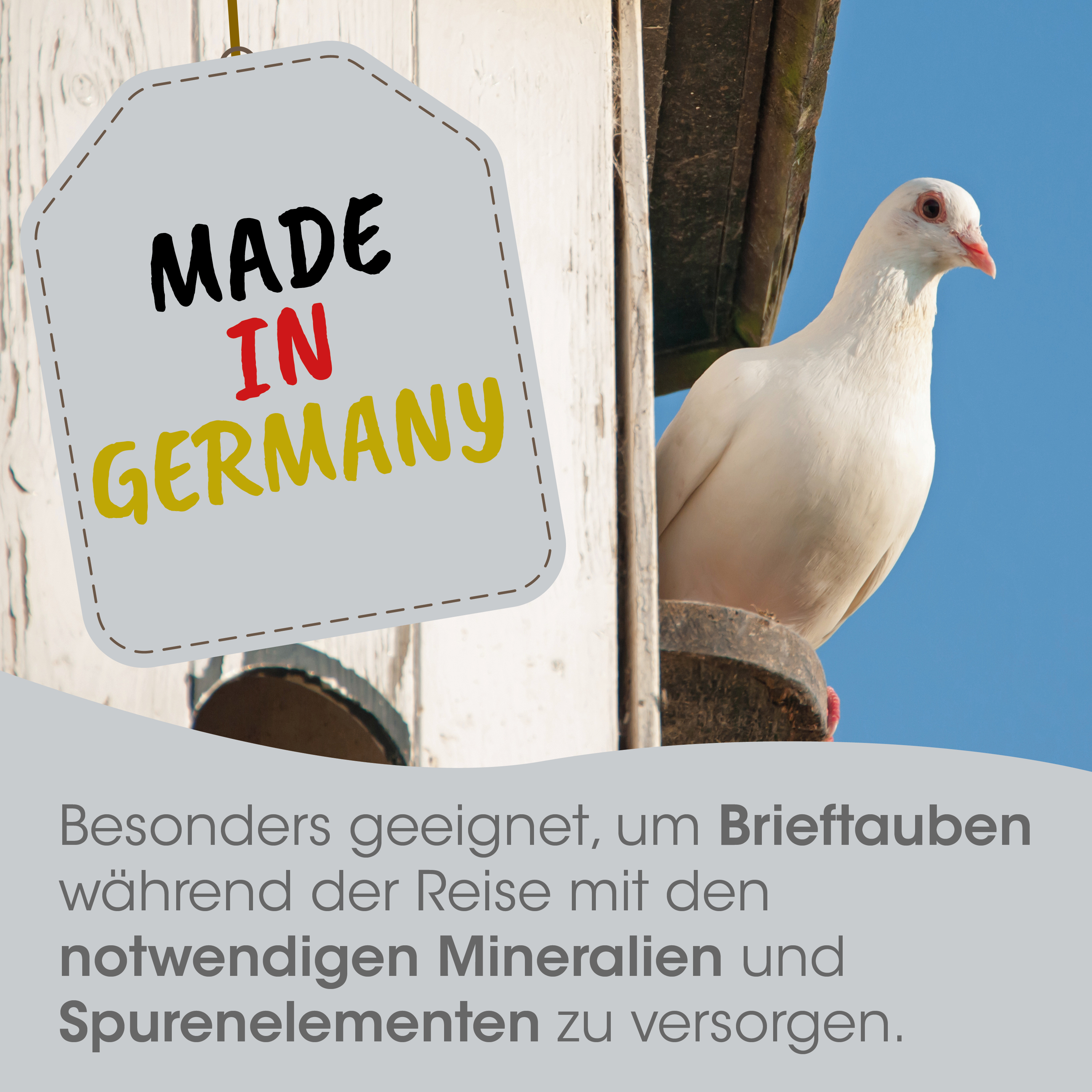 weiße taube, vogel, lkf, made in germany, graues etikett