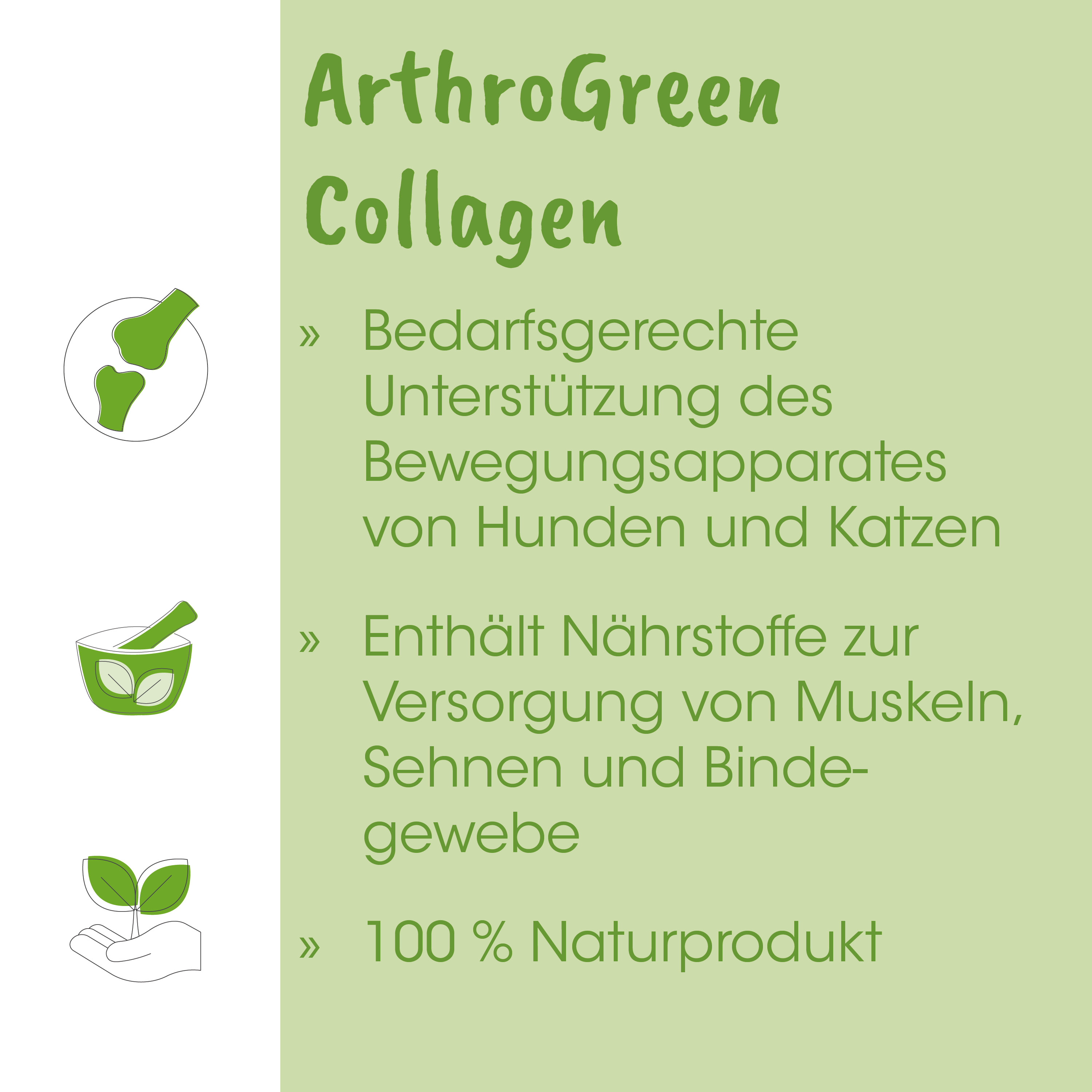 Kollagen, Bewegungsapparat, Hund, Katze, Naturprodukt