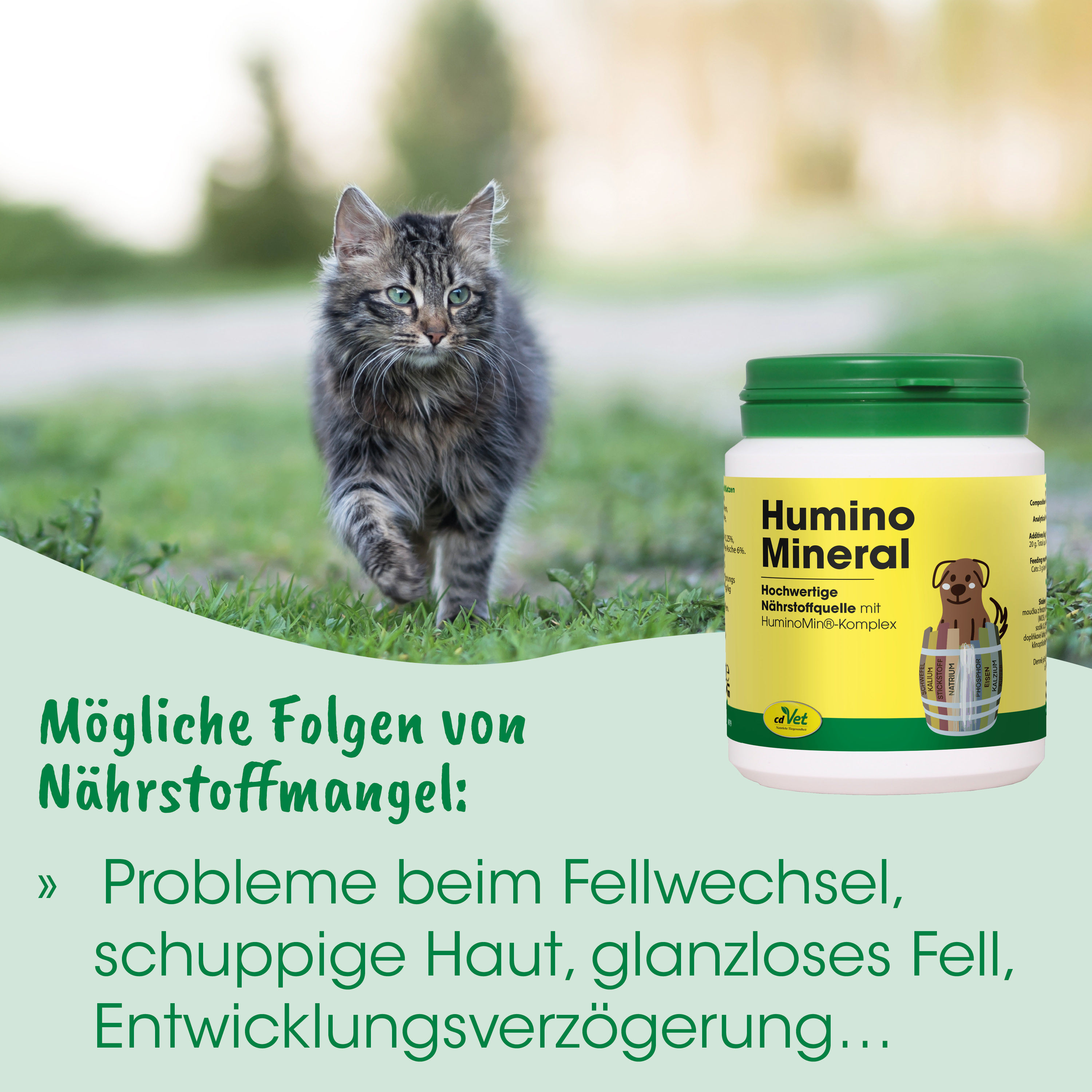 Katzenfutter, Nahrungsergänzung, Humino Mineral, Gelber Behälter, Gras/Outdoor