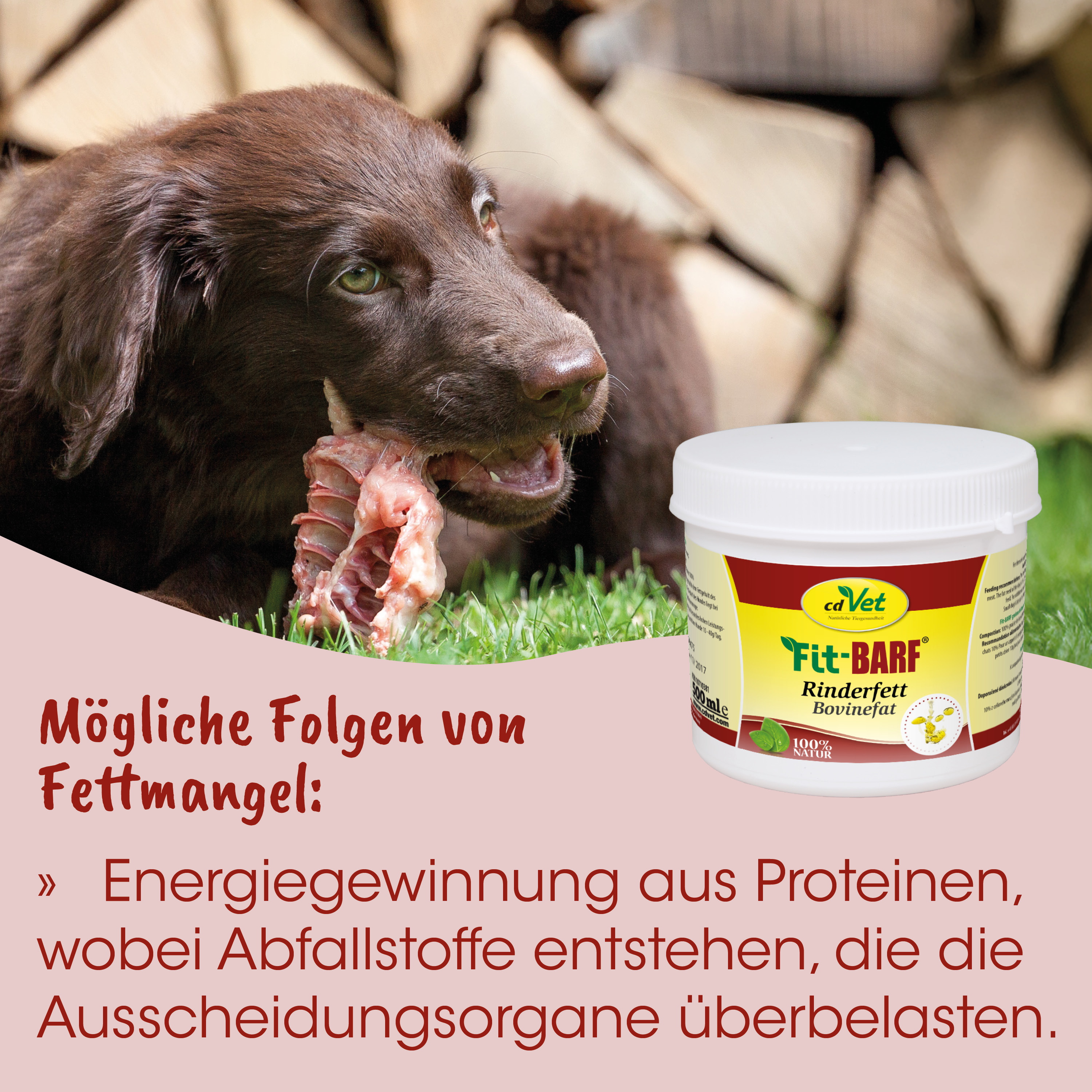 Hund, Knochen, Fleisch, Tierernährung, Glas/Behälter