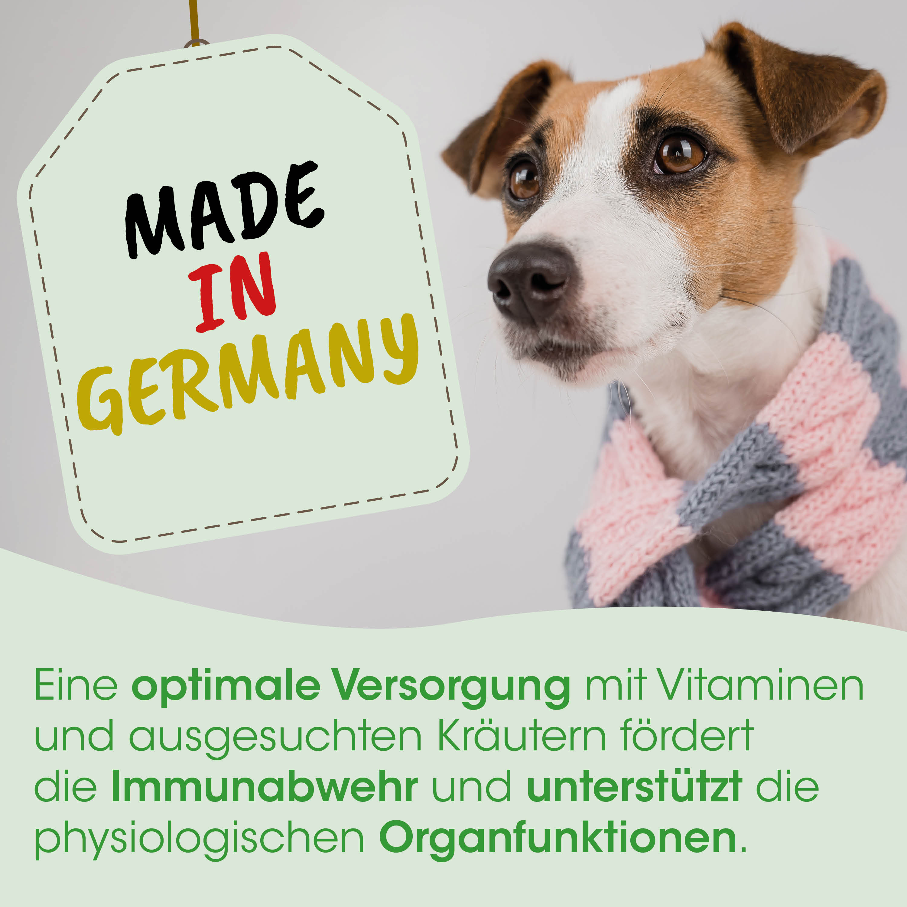 Hund, Schal, Gemusterte Kleidung, Braun-Weiß, Tierpflege
