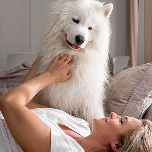 Erwachsener, Weiblich, Person, Frau, Weißer Hund