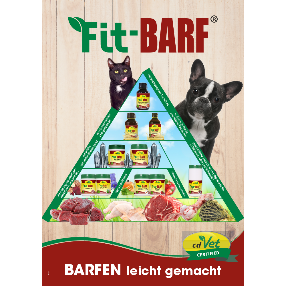 Plakat Fit-Barf Pyramide