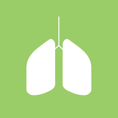 Computerausrüstung, Elektronik, Hardware, Maus