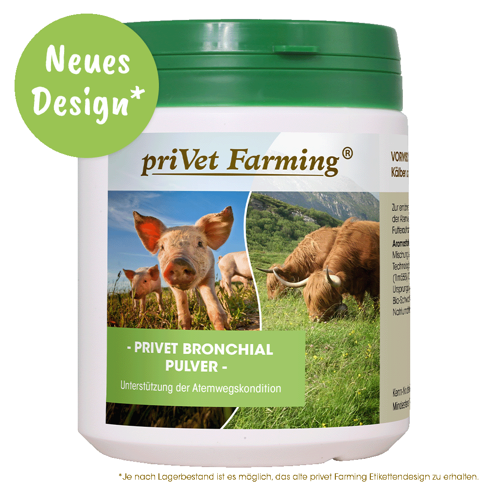 privet Bronchial Pulver 450 g