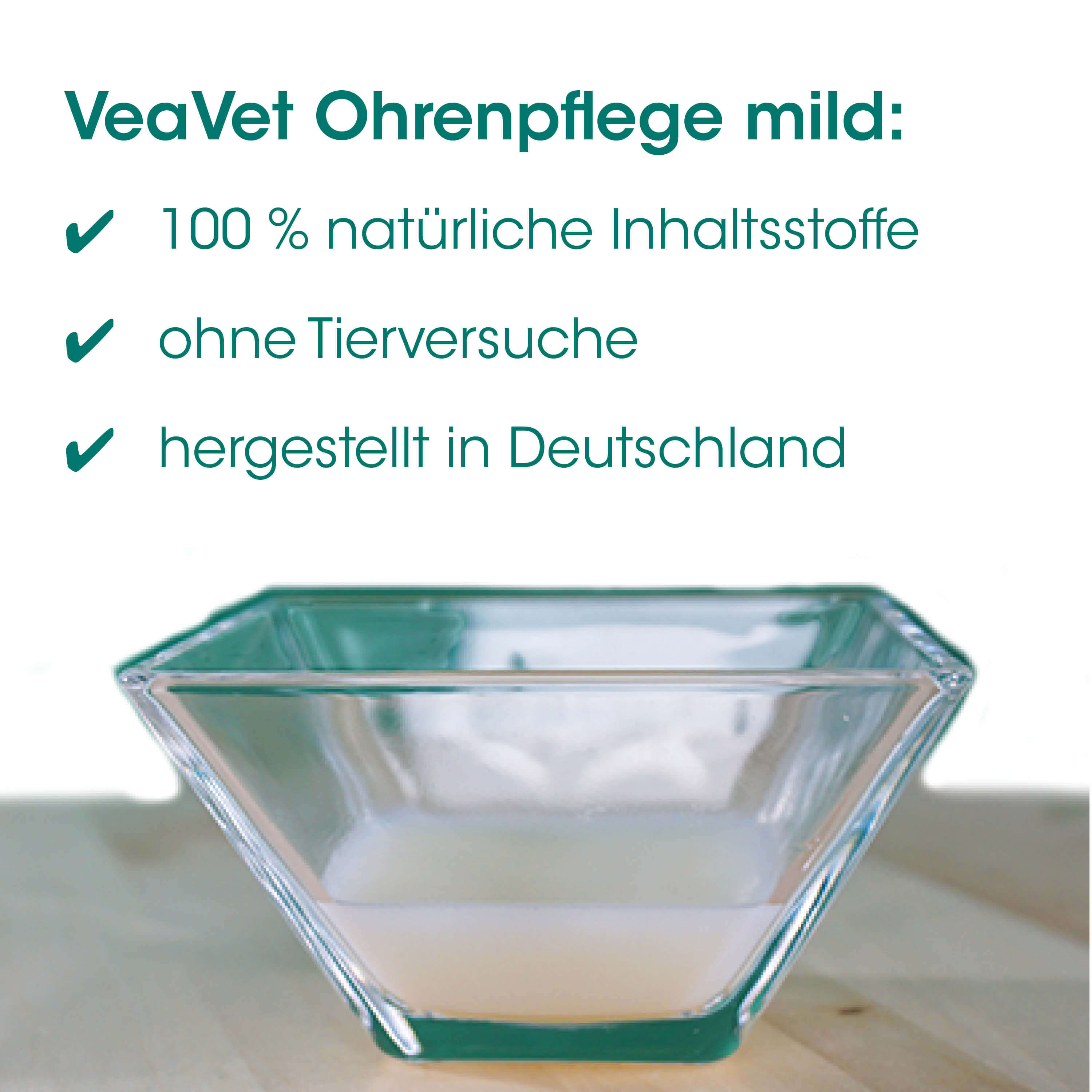 Schüssel, Glasschüssel,  quadratische Form, Transparente Schüssel, Küchenschüssel