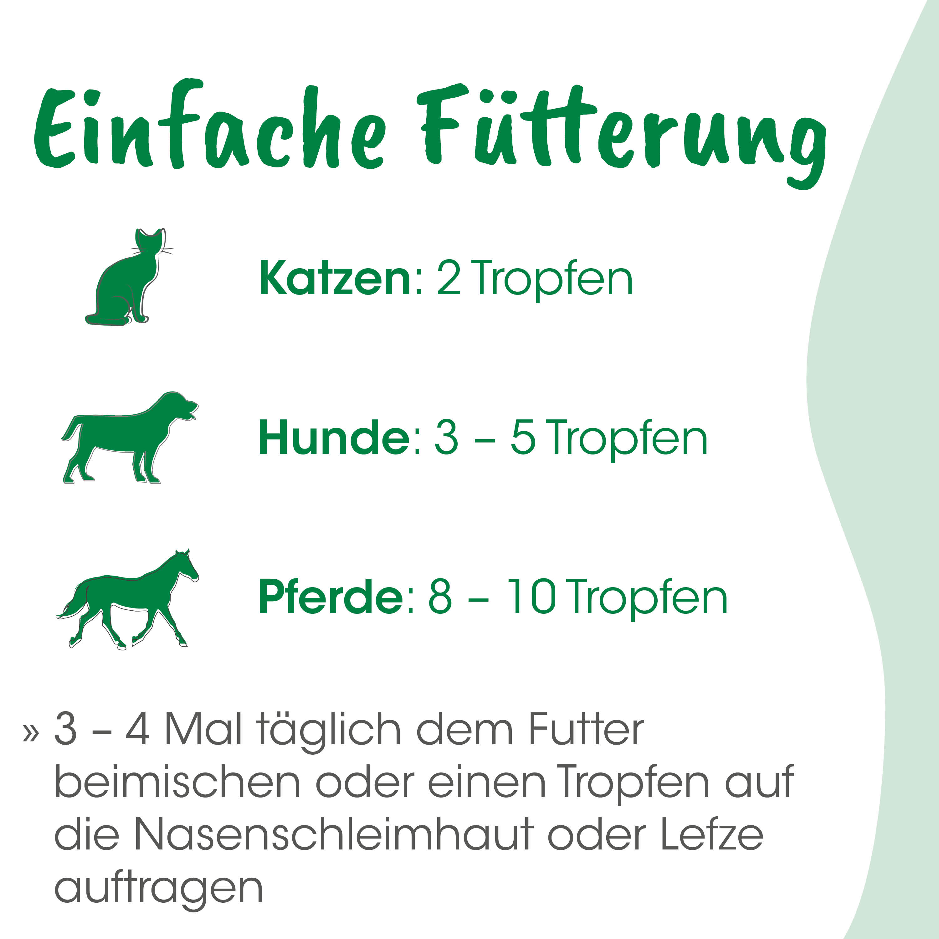 katze, hund, pferd, futter, empfehlung