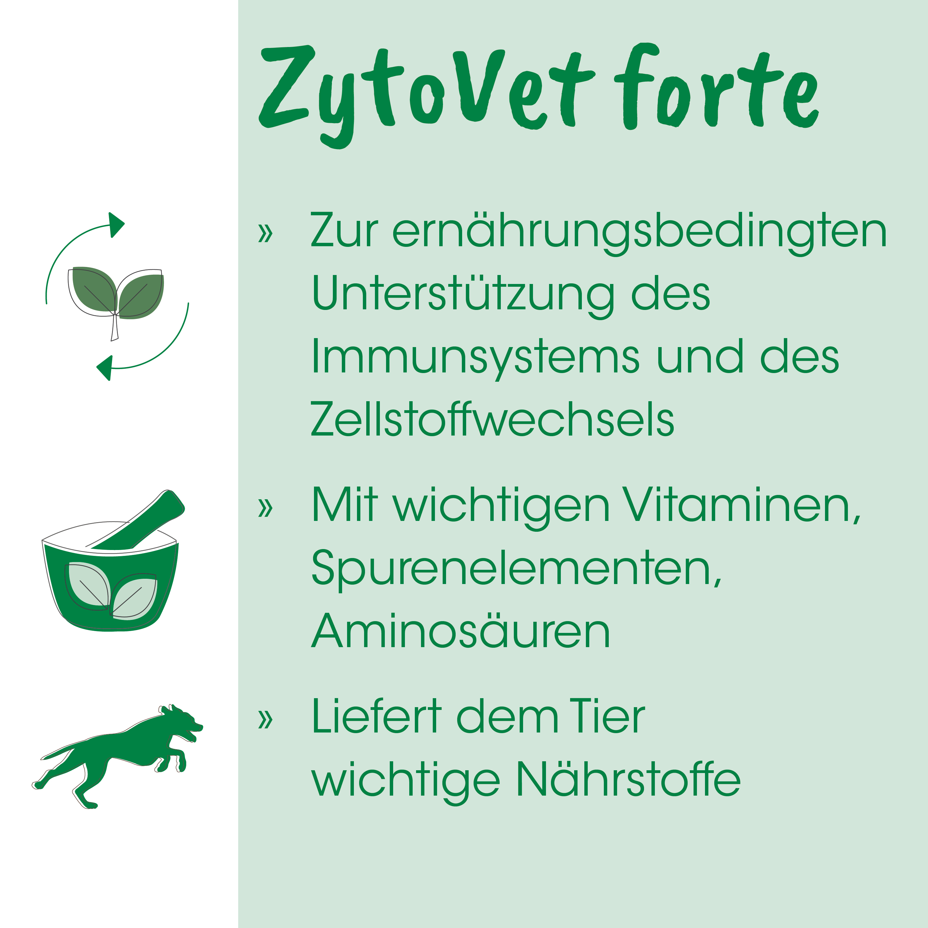 ZytoVet forte 55 g