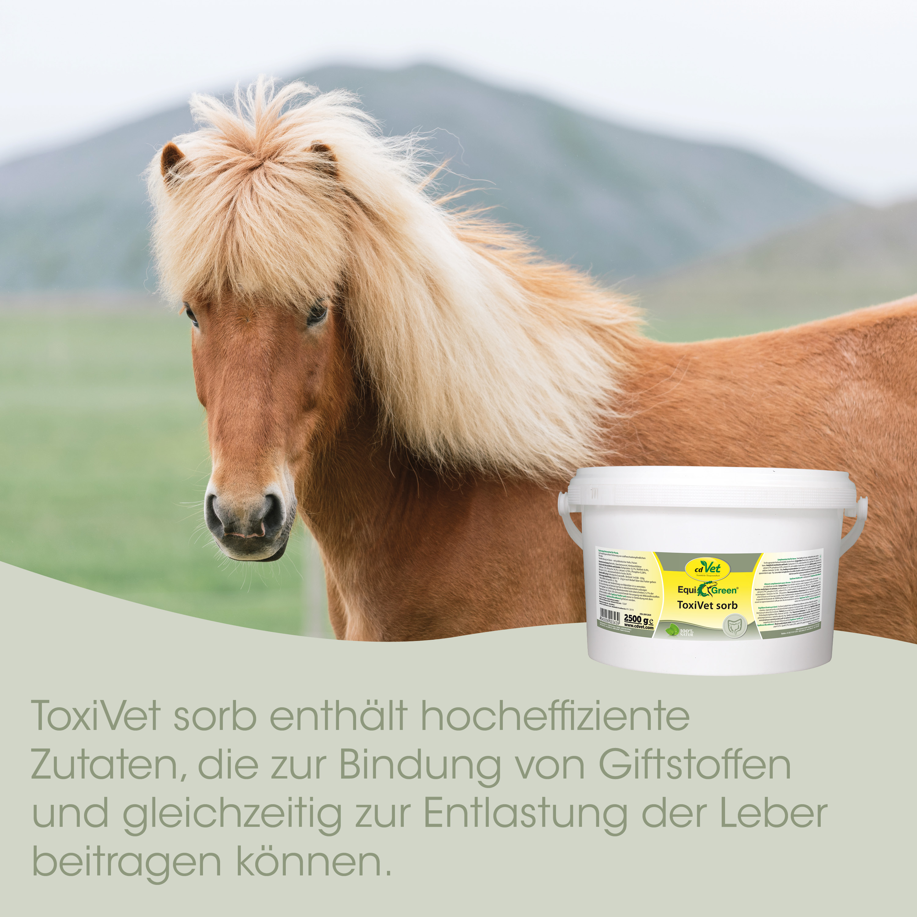 Pony, Pferd, Sorbit?, ToxinVet, Tierarznei