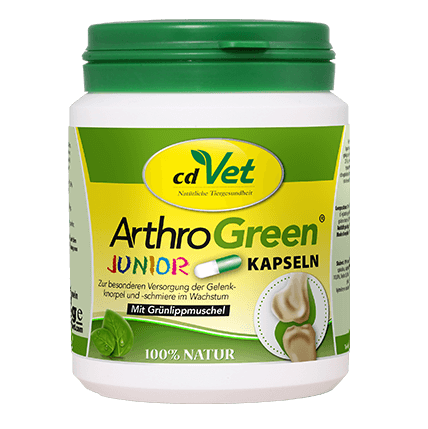 ArthroGreen, Kapseln, Kinder, Gelenkpflege, Grünpflanze