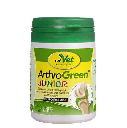 cartilage supplement, joint health, grüne Flasche, Kinder, ArthroGreen Junior