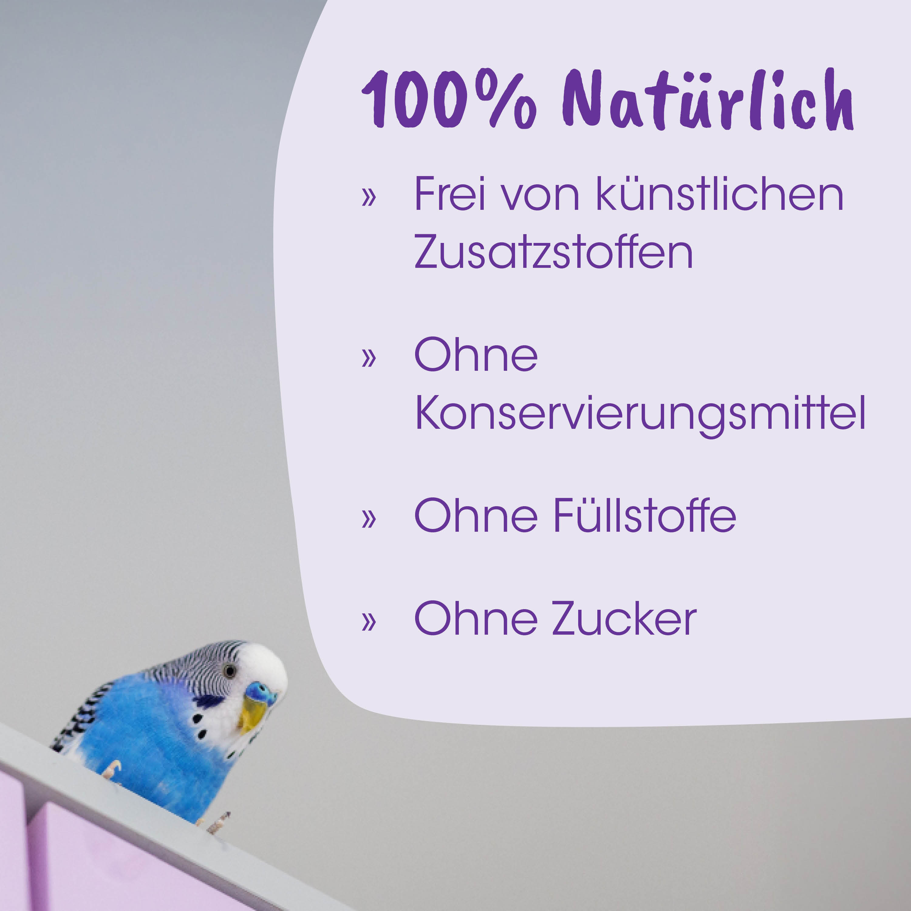 papagei, wellensittich, blauer papagei, vogel, haustierkäfig