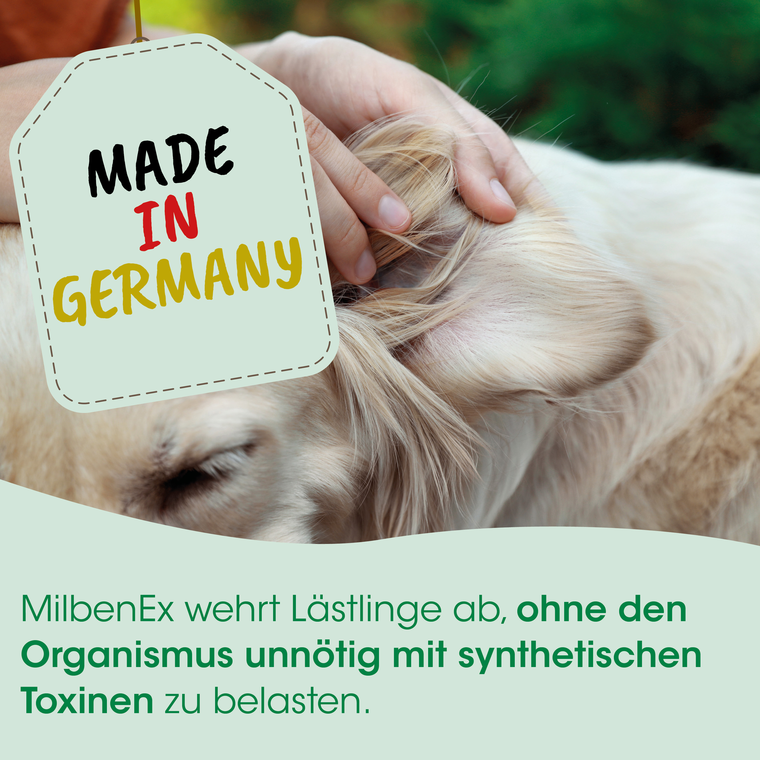 Made in Germany, Etikett, Hunde, Hand, Pflege
