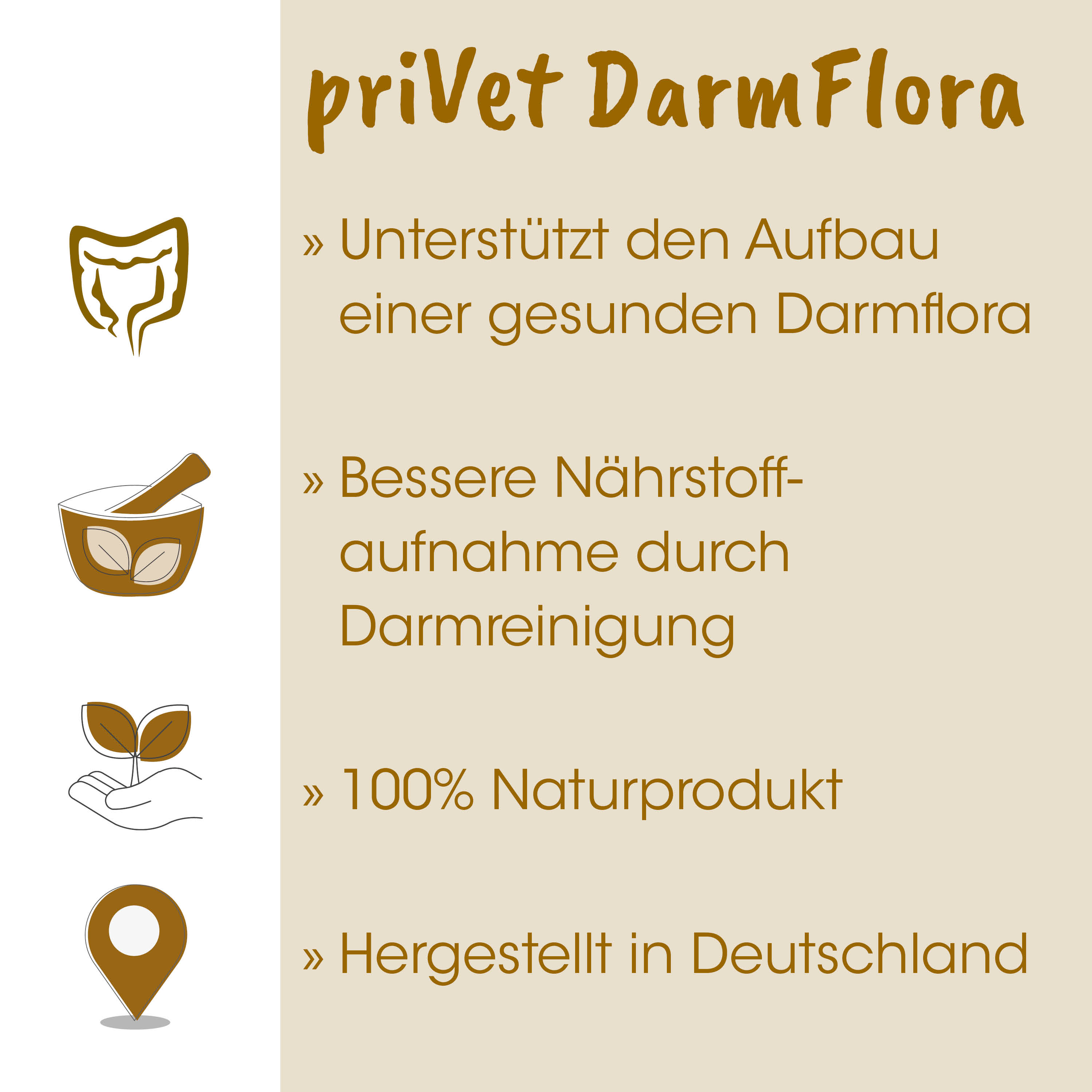 Darmflora, Nahrungsergänzung, 100% Naturprodukt, Gefäßbild, Made in Germany