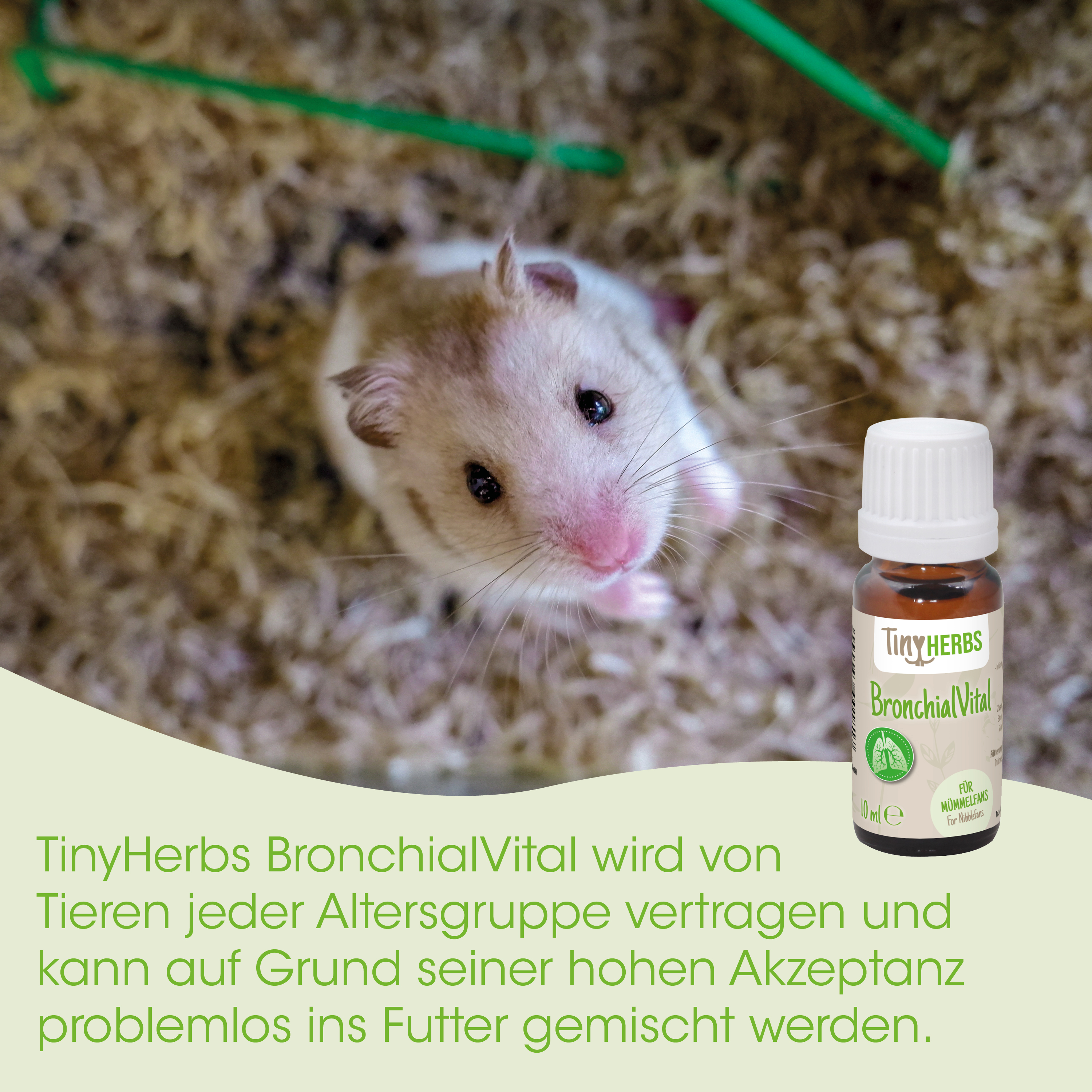 Hamster, Tier, Kraut, Flasche, Kräuter