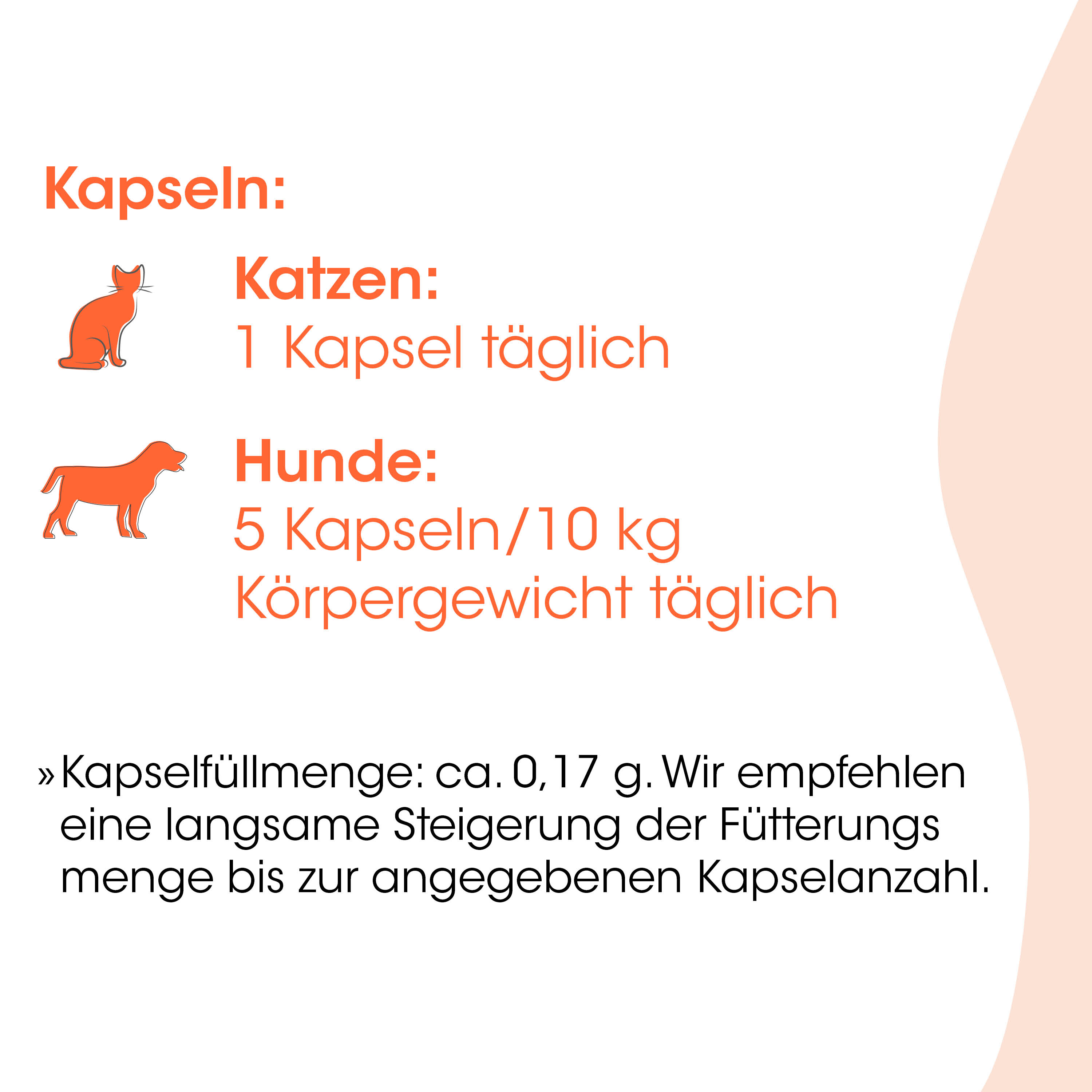 Kapseln, Katzenfutter, Körpergewicht, Katzen, Futtermenge