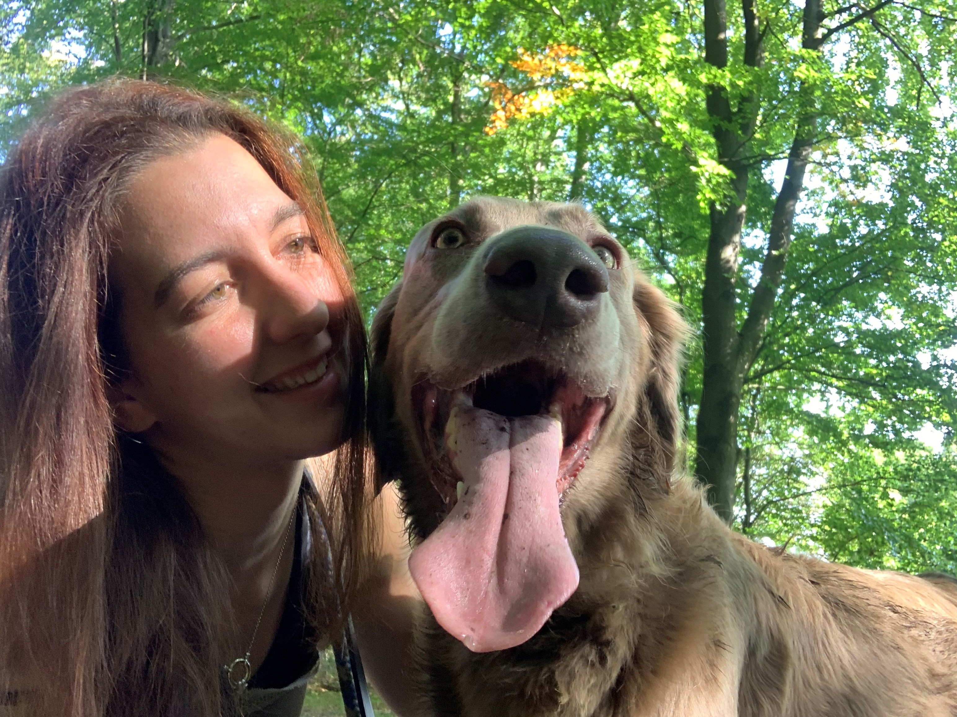 Photographie, Portrait, Bewuchs, Baum, Gras