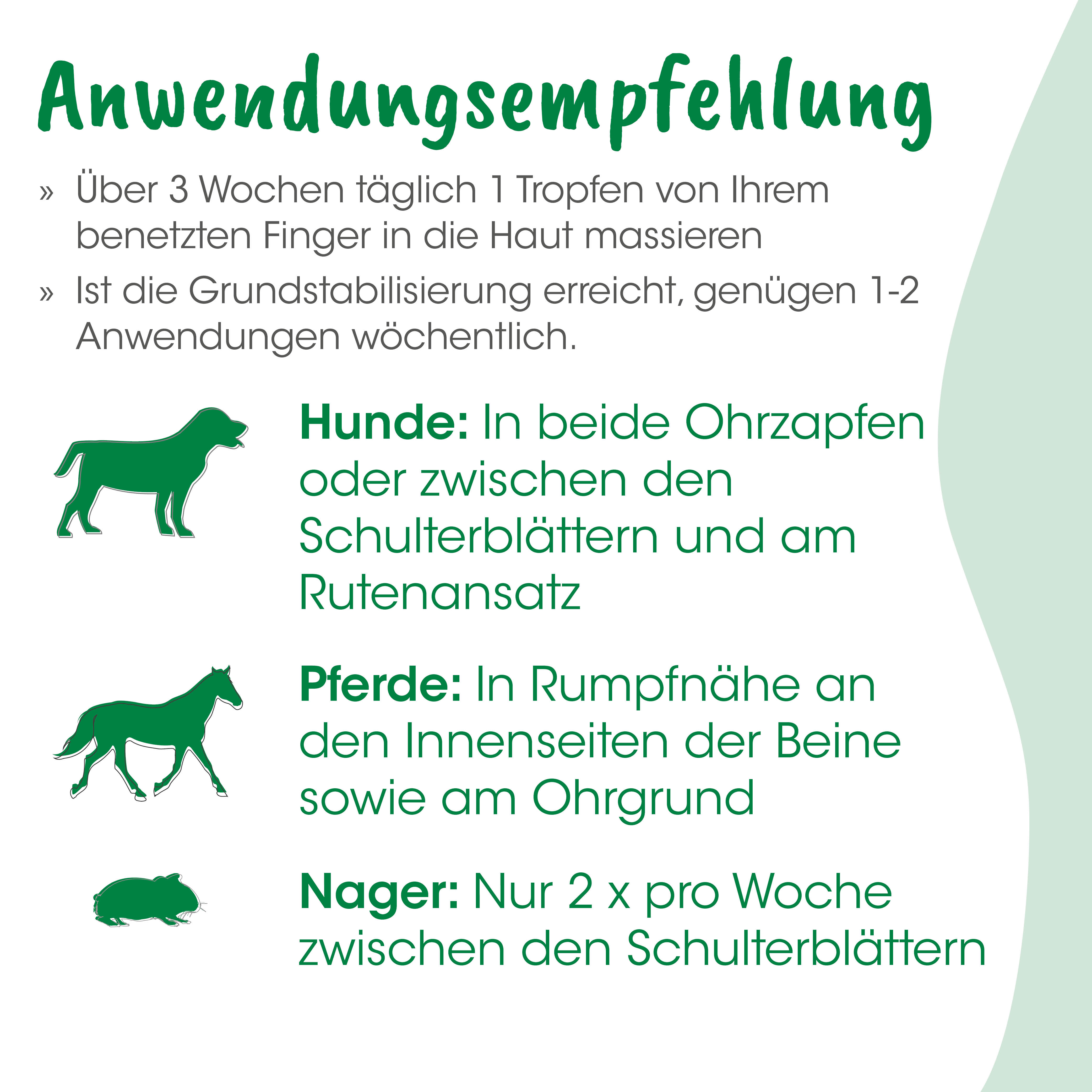 Hund, Katze, Pferd, Nager, Illustration, Hund, Pferd, Nager, Tierarzt, Hunde-Illustration
