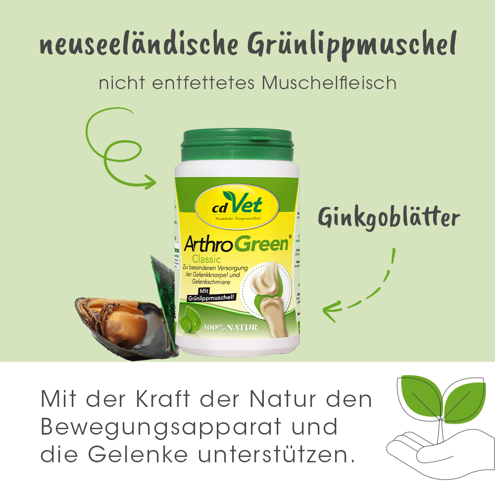 Ginkgo Blätter, ArthroGreen, Kapseln, Naturkosmetik, Gelenkstütze