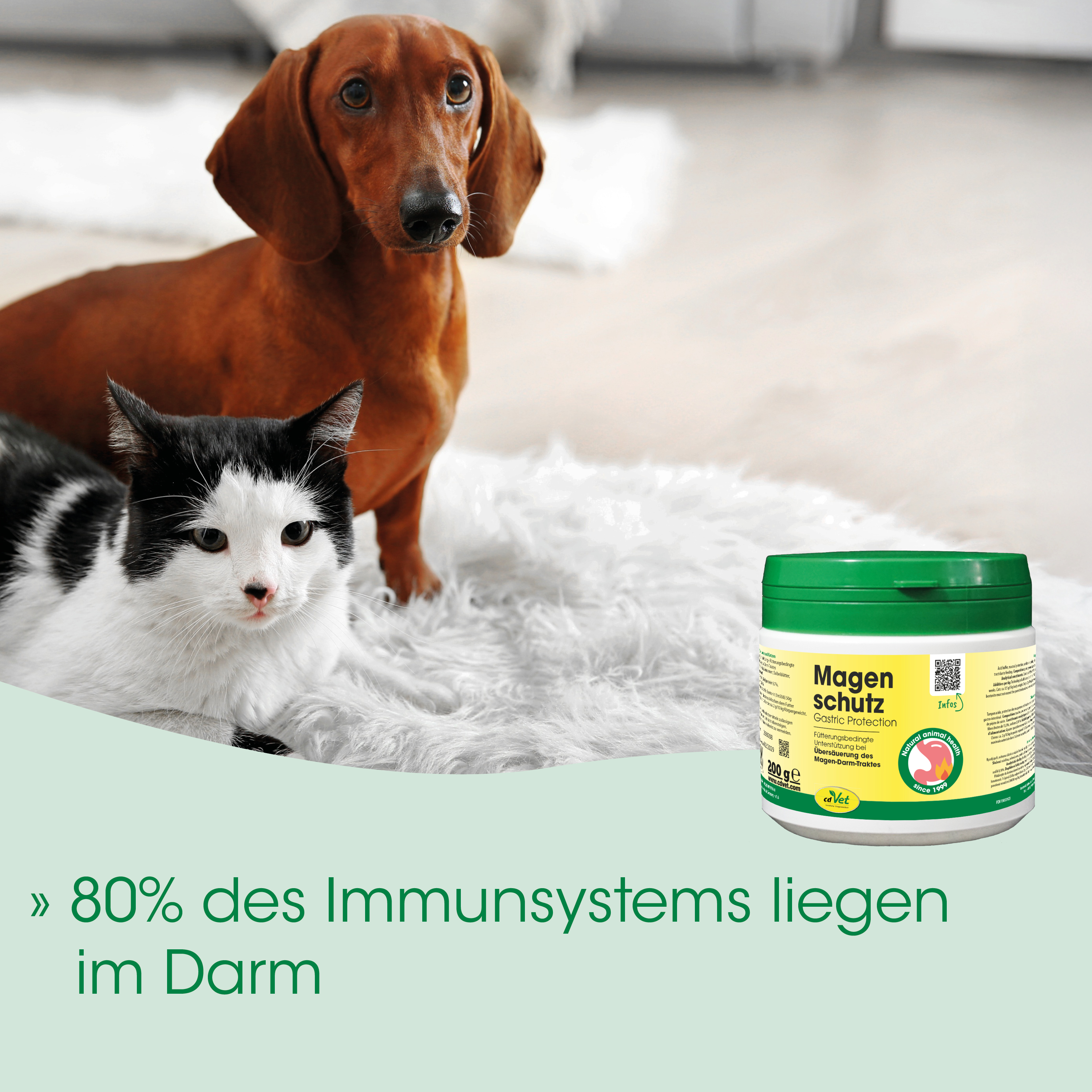 Dackel, Hund, Ernährungsergänzung, Magenschutz, Dose
