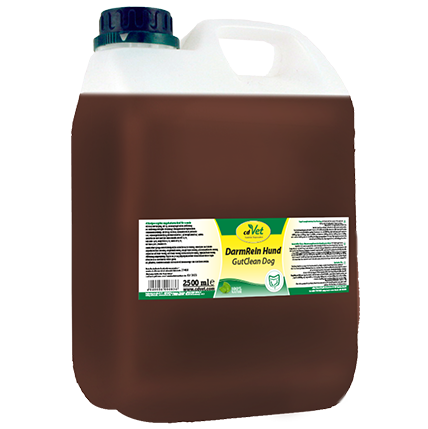 DarmRein Hund  2,5 L -unverpackt-