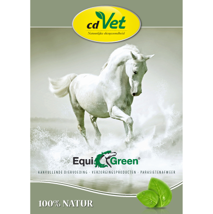 Broschüre Pferd Niederländisch, A5, Farbe