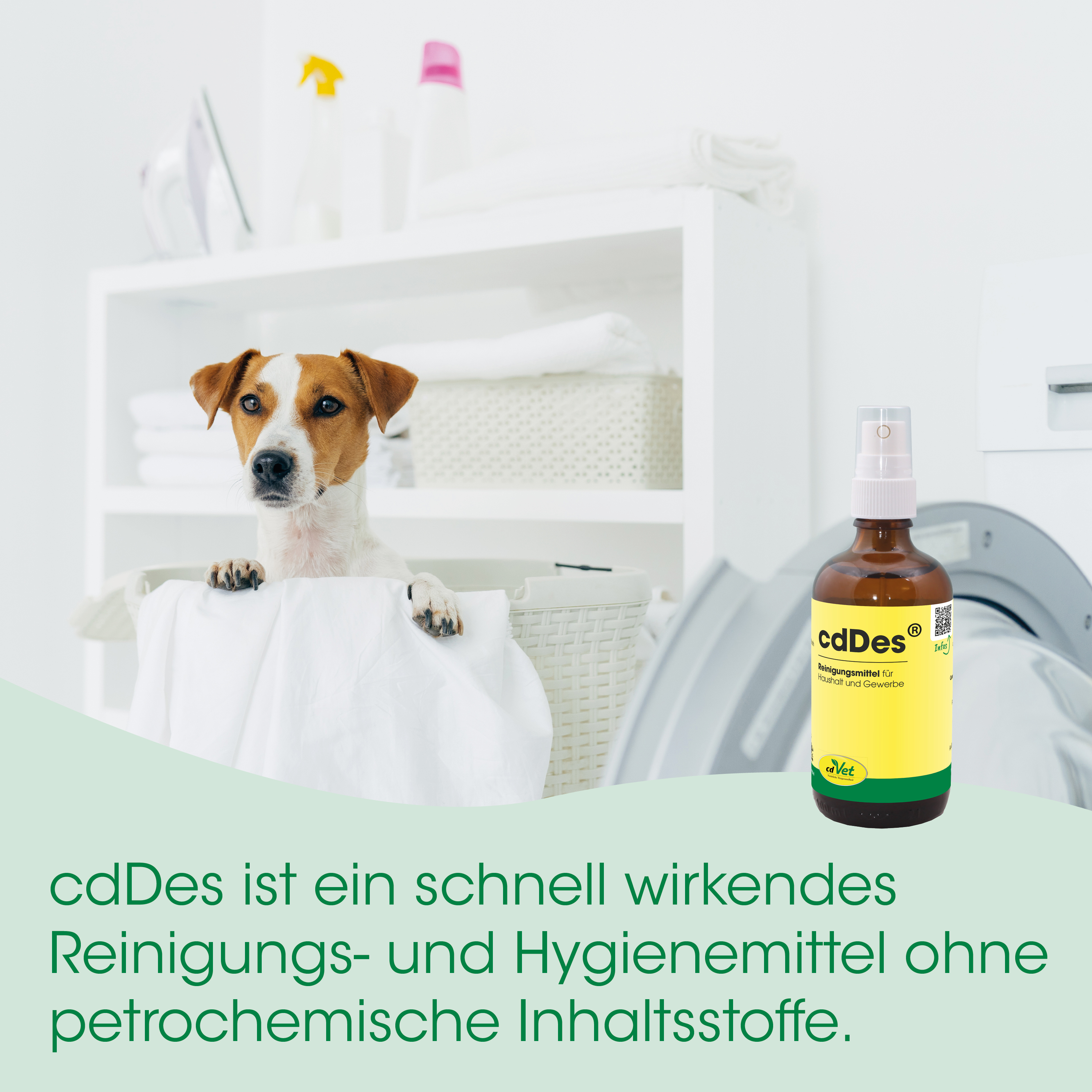 Hund, Waschraum, Hundepflege, Reinigungsflasche, Tierpflege
