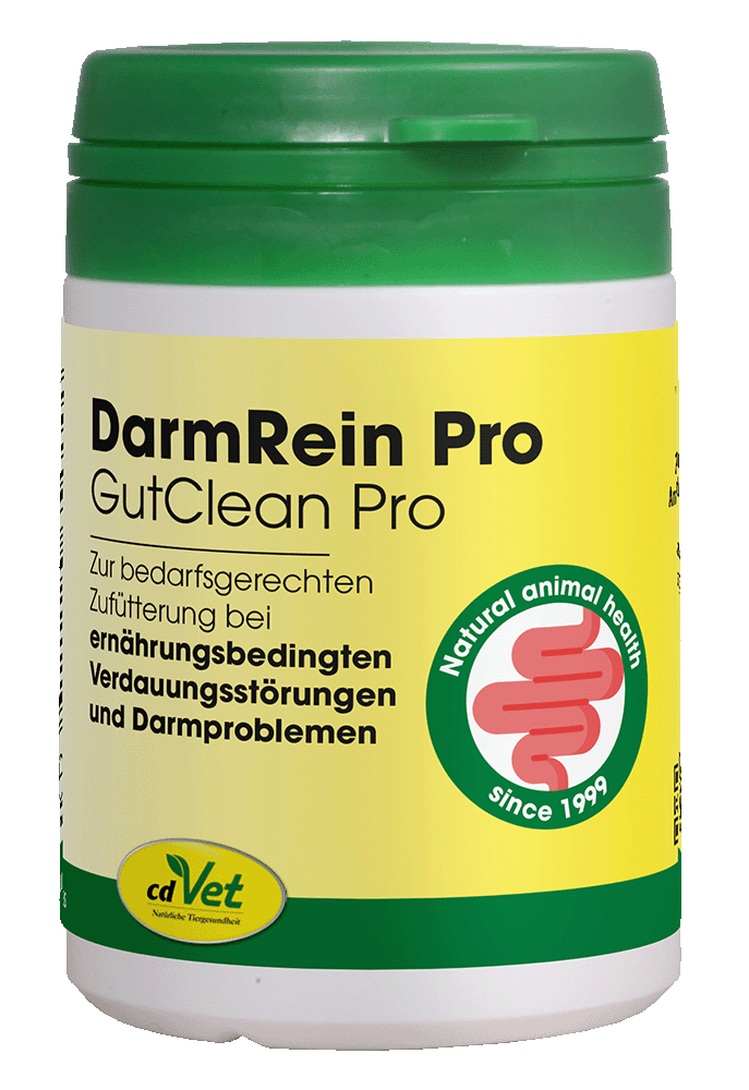 DarmRein Pro, GutClean Pro, Tierarzneimittel, Nahrungsergänzung, Darmprobleme, DarmRein Pro, GutClean Pro, Nahrungsergänzung, Verdauungsstörung, Darmprobleme