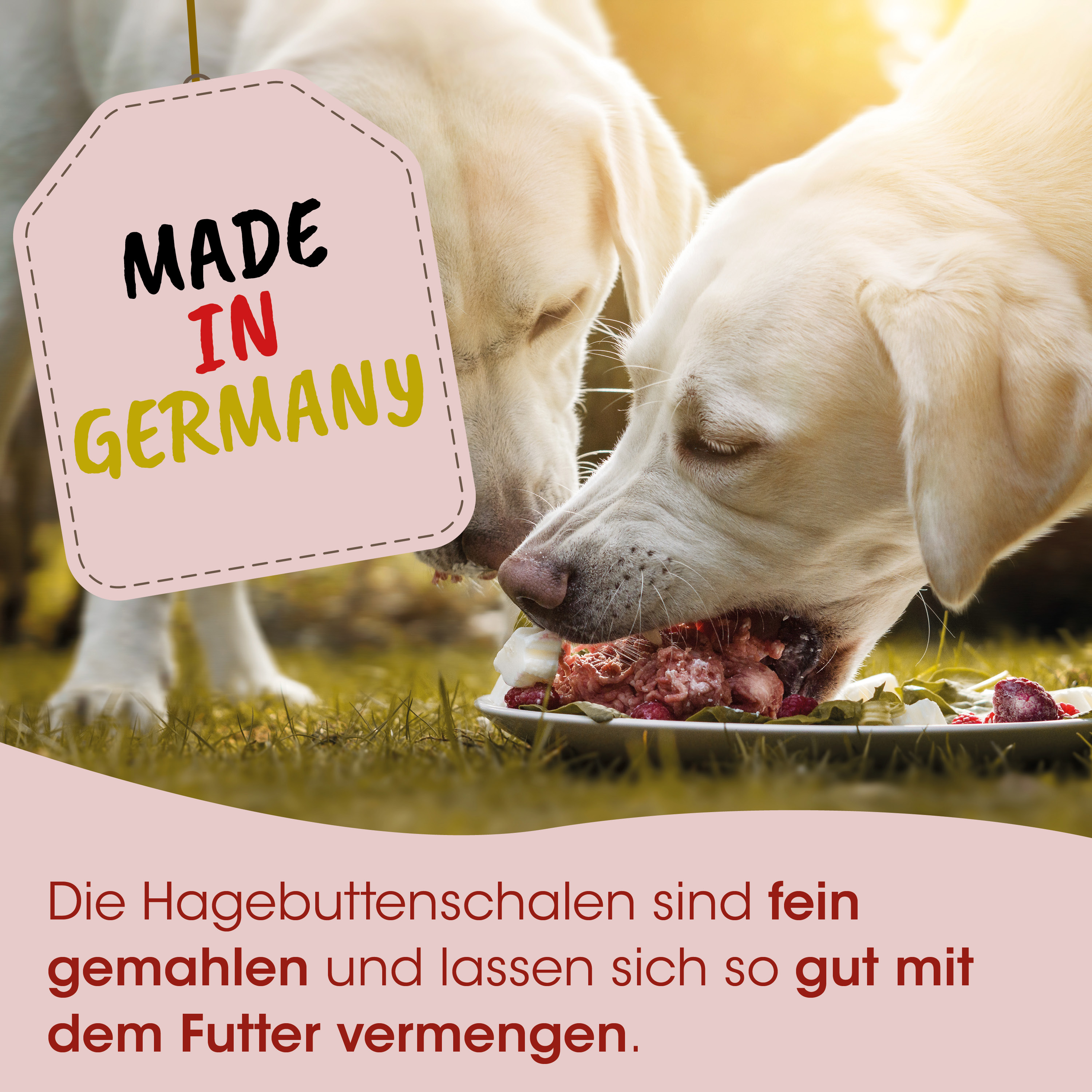 Hundeernährung, Hunde-Futter, Hagebuttenschalen, fein gemahlen, Futtermittel