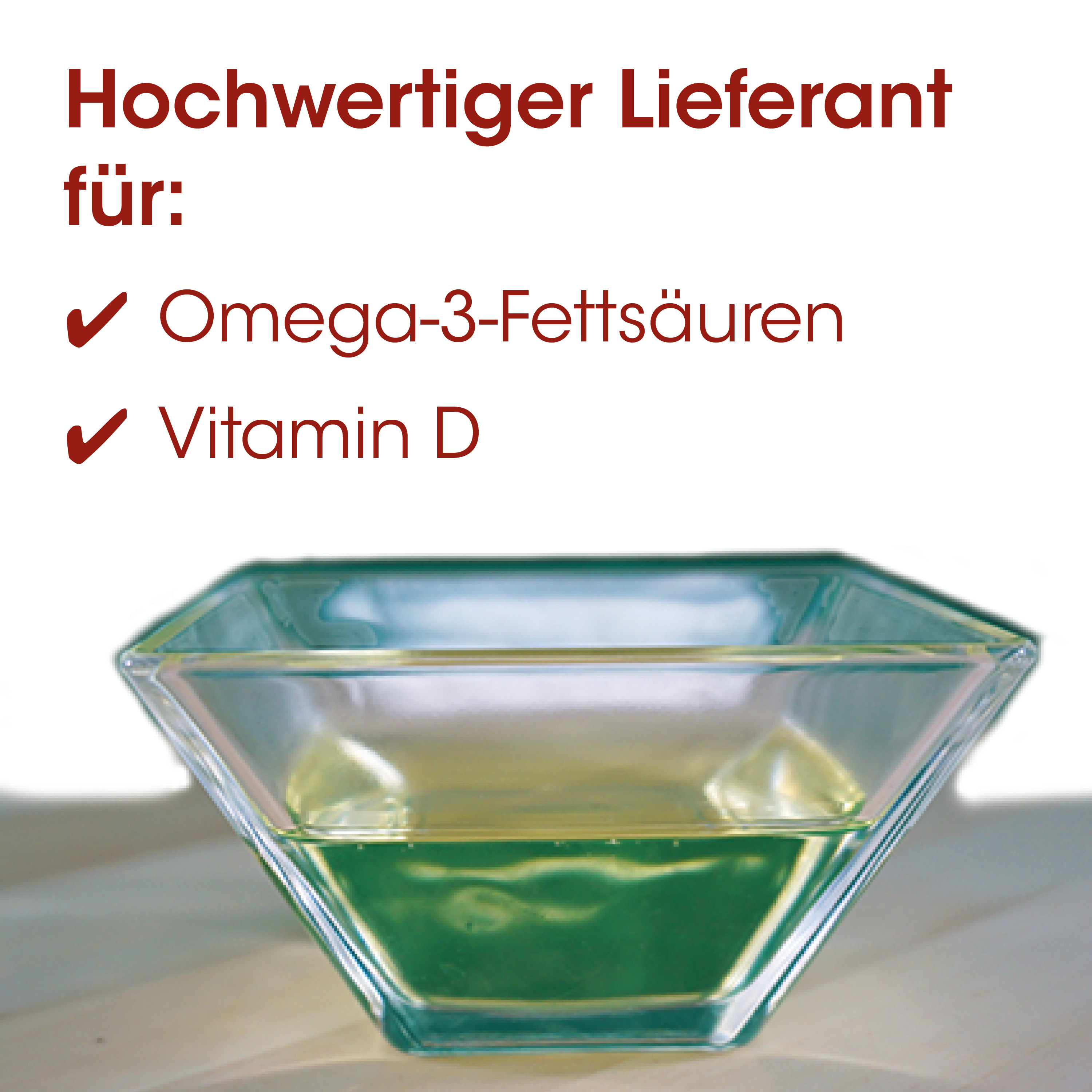 glas schüssel, gemüse schüssel, durchsichtiges glas, quadratische schüssel, farbige schüssel