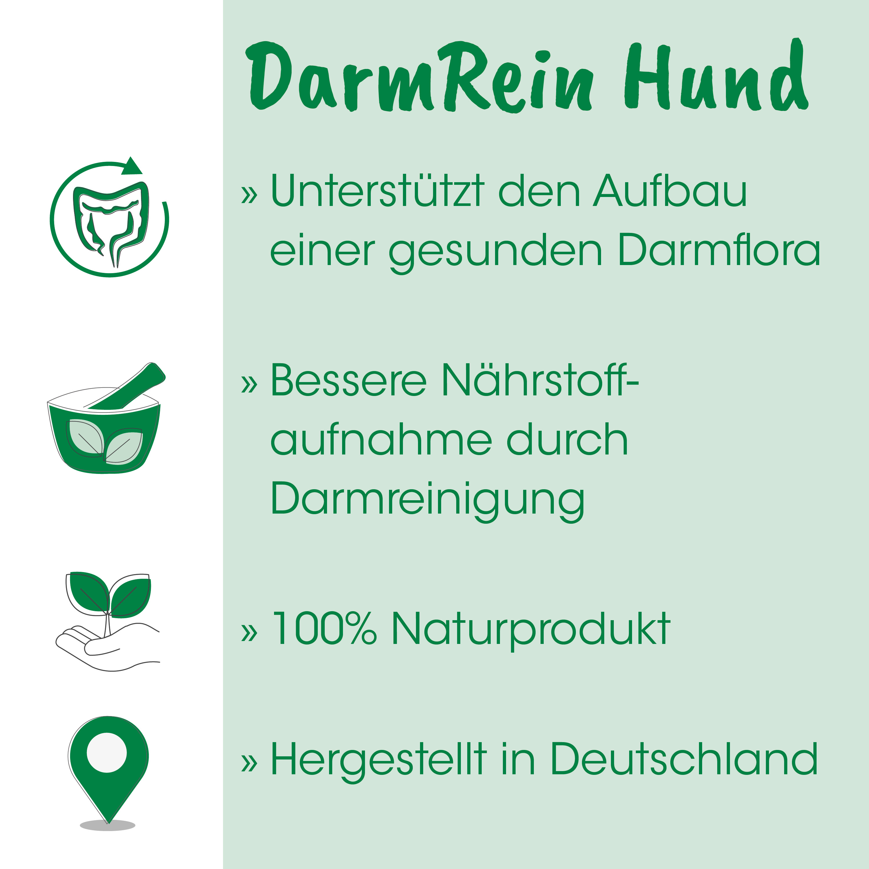  DarmRein Hund, gesundheit, darmflora, natürlich, statement