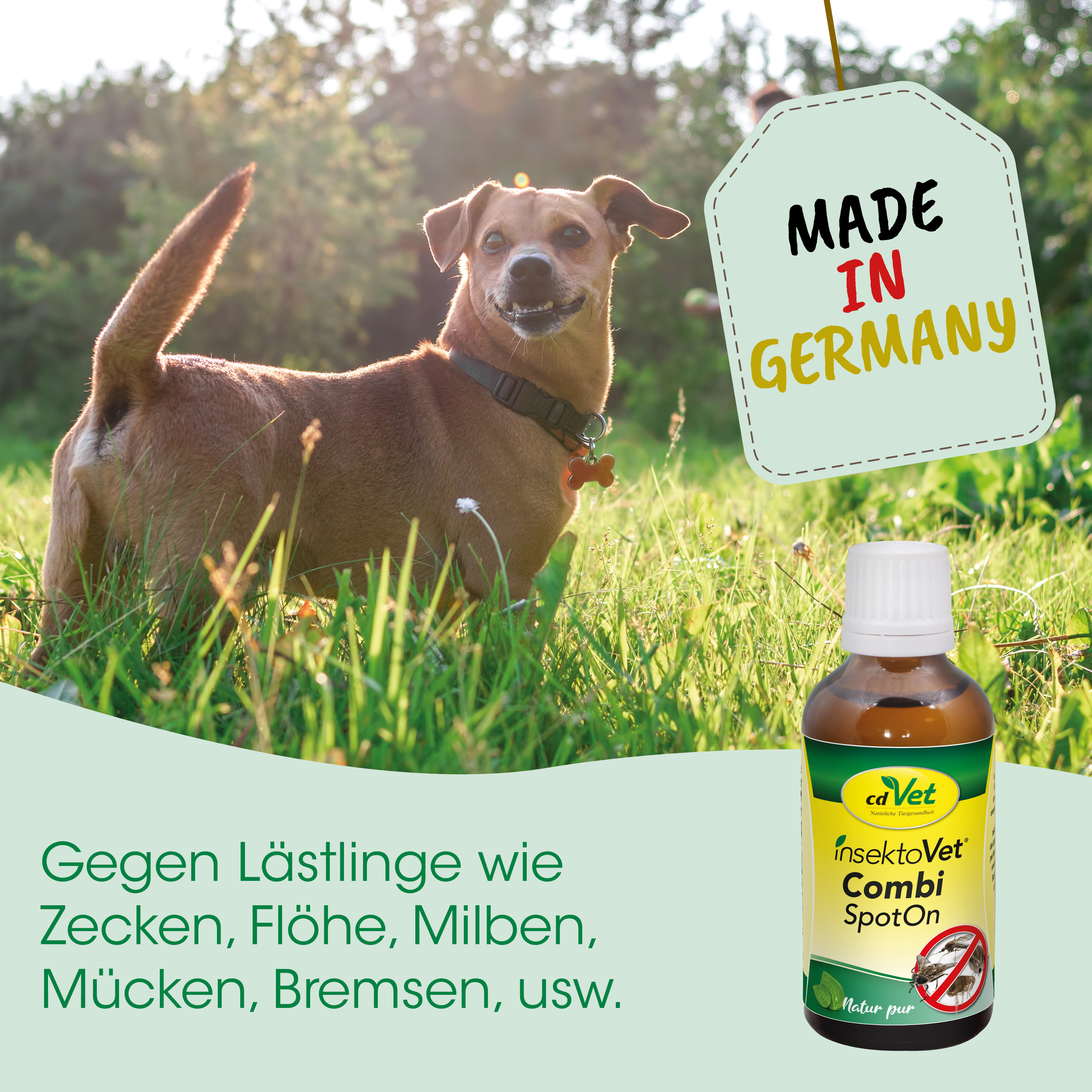 Hund, Hundebehandlung, Insektenschutz, Spot-On, Made in Germany